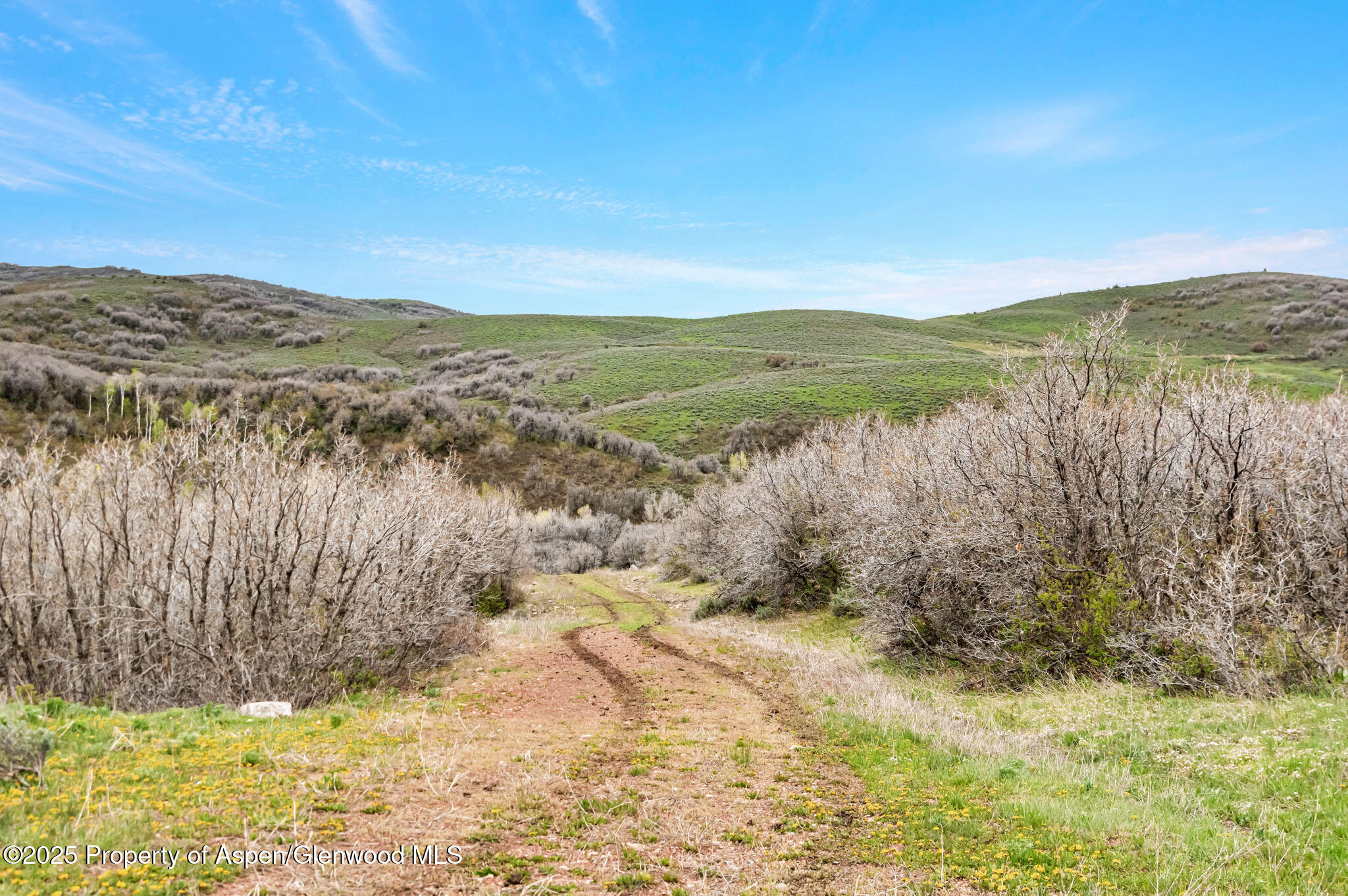 Hayden, Colorado, 81639, United States, ,Residential,For Sale,1901288