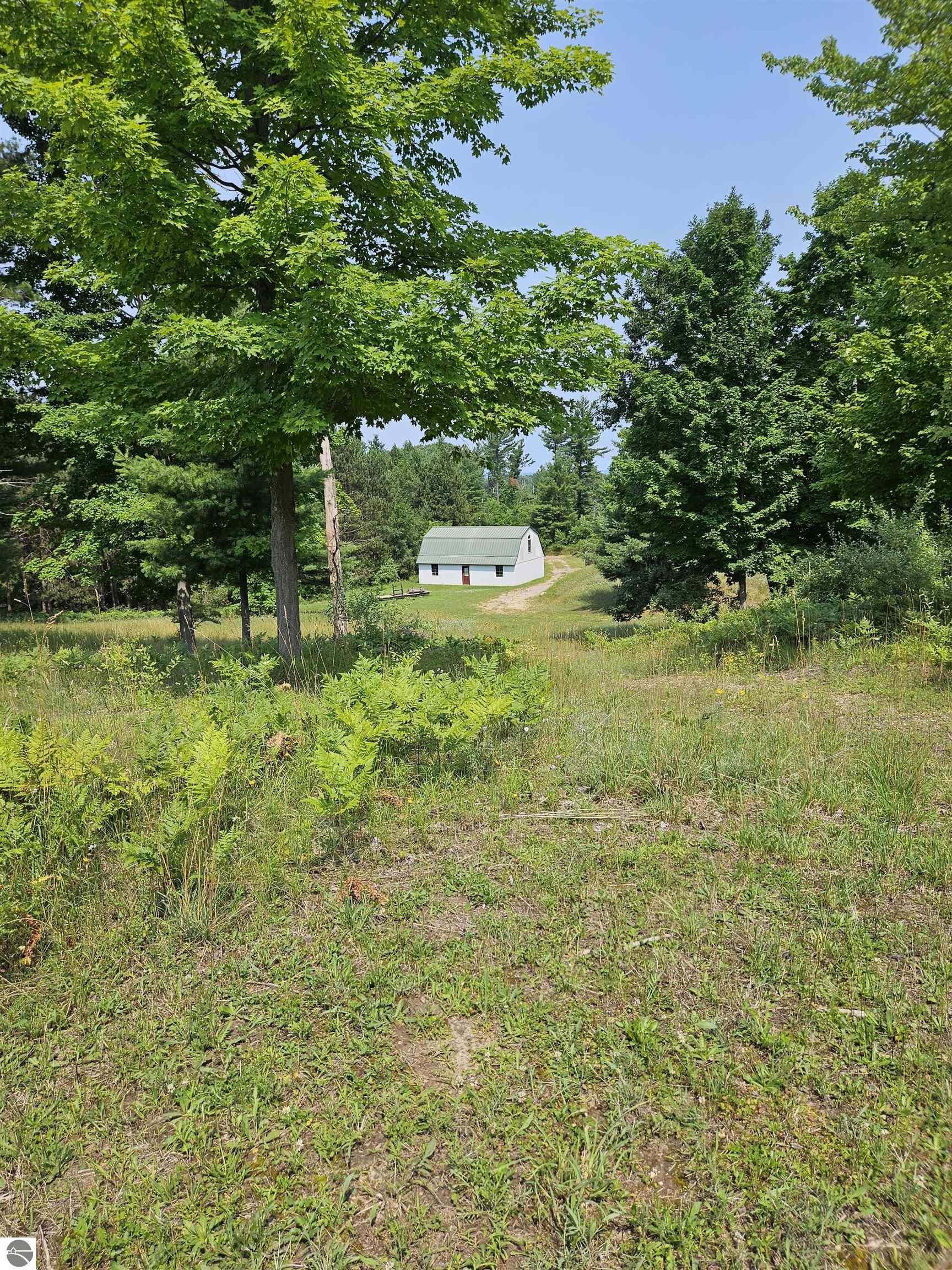 Williamsburg, Michigan, 49690, United States, ,Land,For Sale,1906031