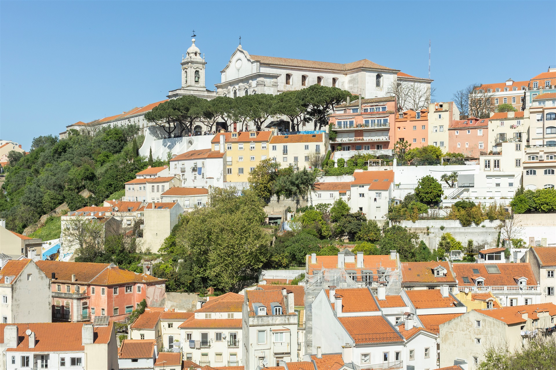  Flat, 2 bedrooms, for Sale - 物件實景