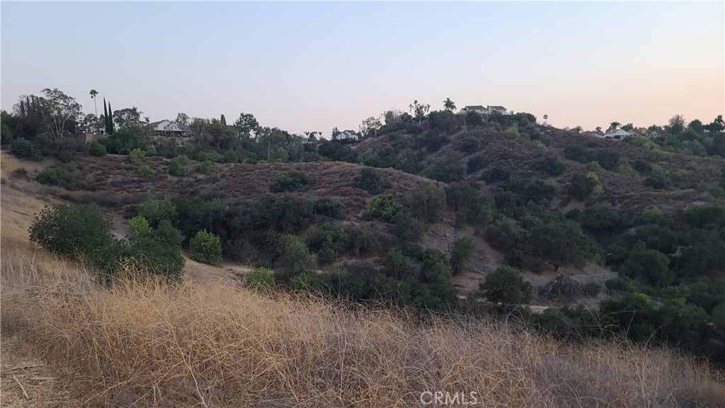 0 Paseo Al Deano, San Dimas, California, 91773, United States, ,Land,For Sale,0 Paseo Al Deano,1340667