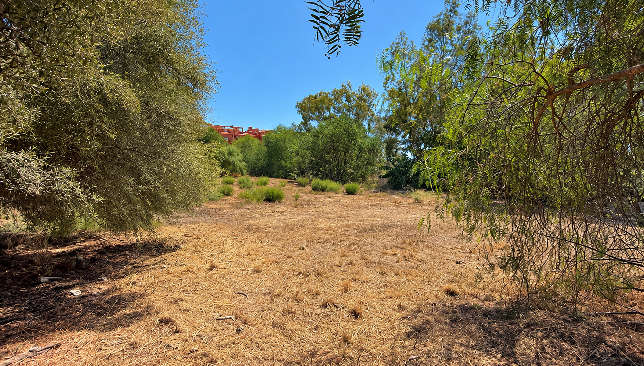  Building plot for a bespoke villa in Hacienda Las Chapas - 物件實景
