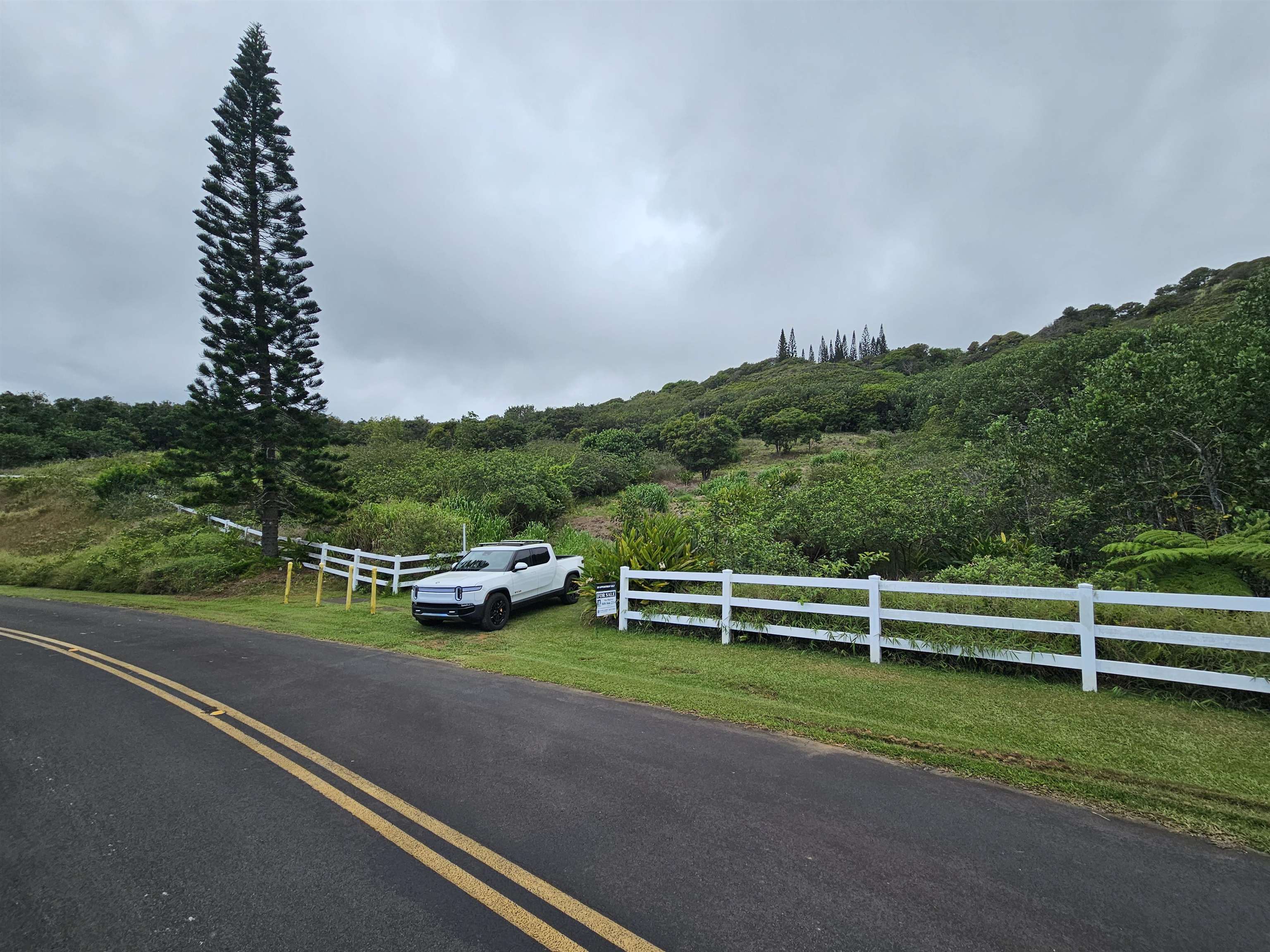 63 Lahaole Pl, Wailuku, Hawaii, 96793, United States, ,Land,For Sale,63 Lahaole Pl,1676772