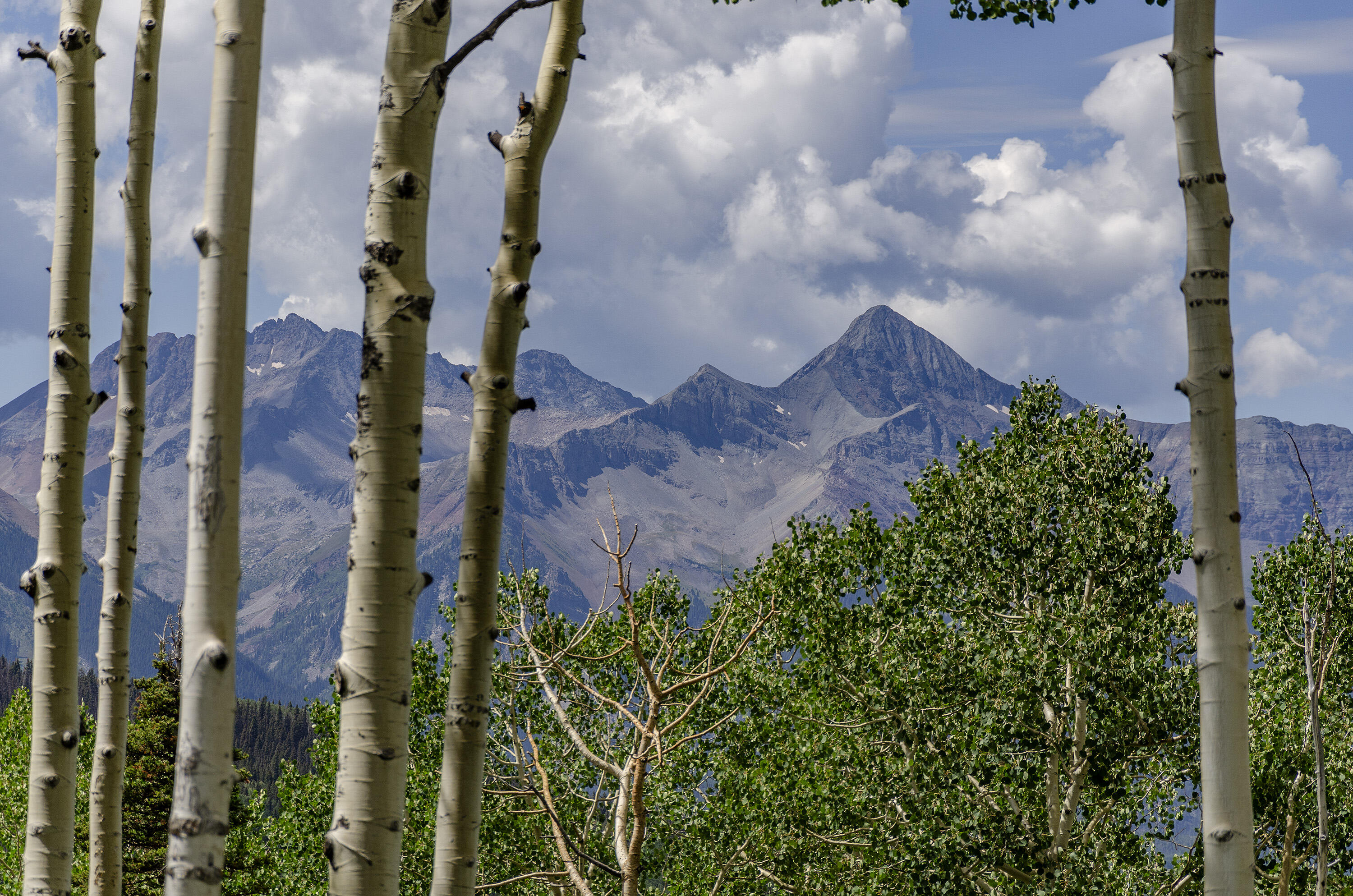 Mountain Village, Colorado, 81435, United States, ,Land,For Sale,1805145