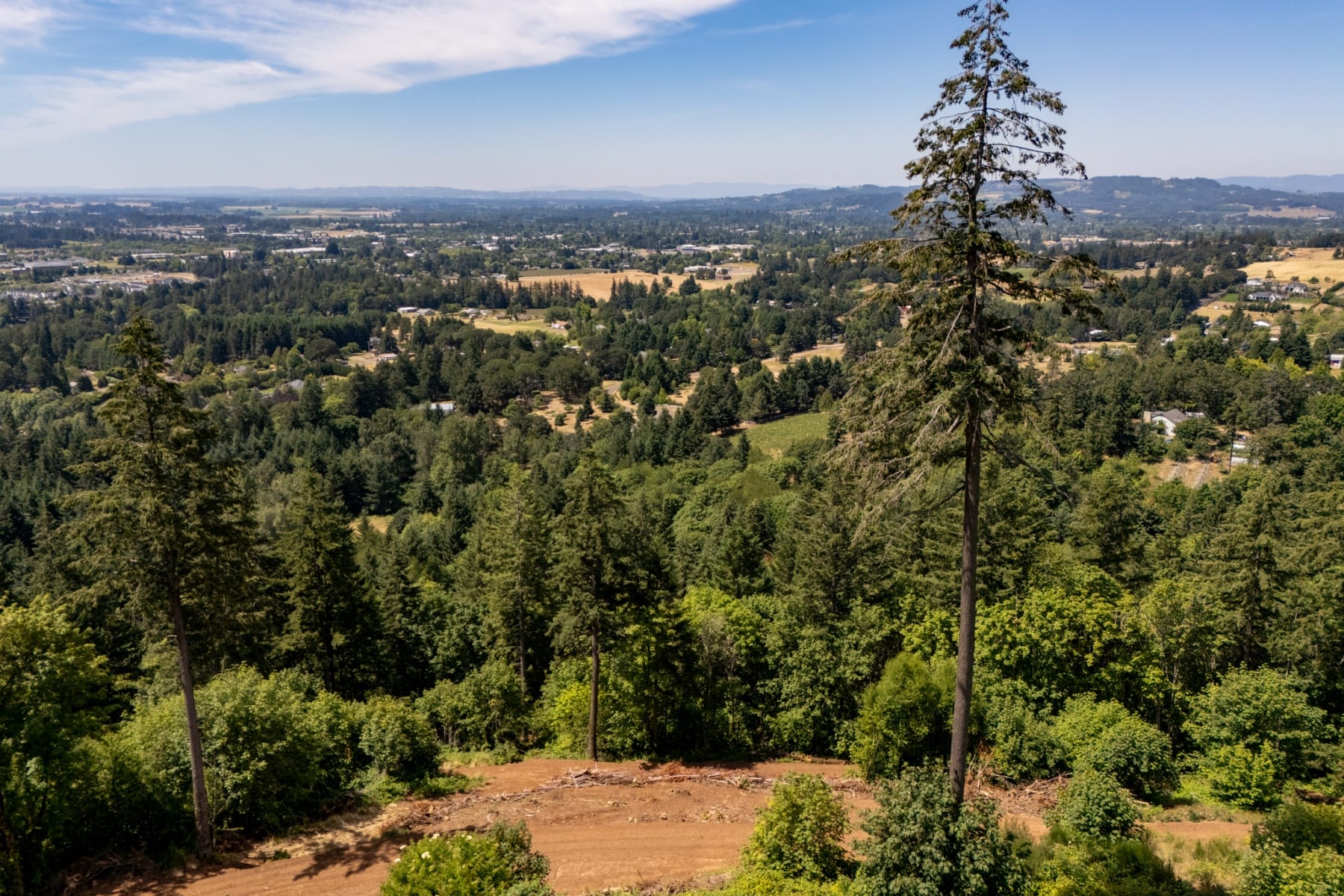  30540 NE BELL RD Newberg, OR 97132 - 物件實景