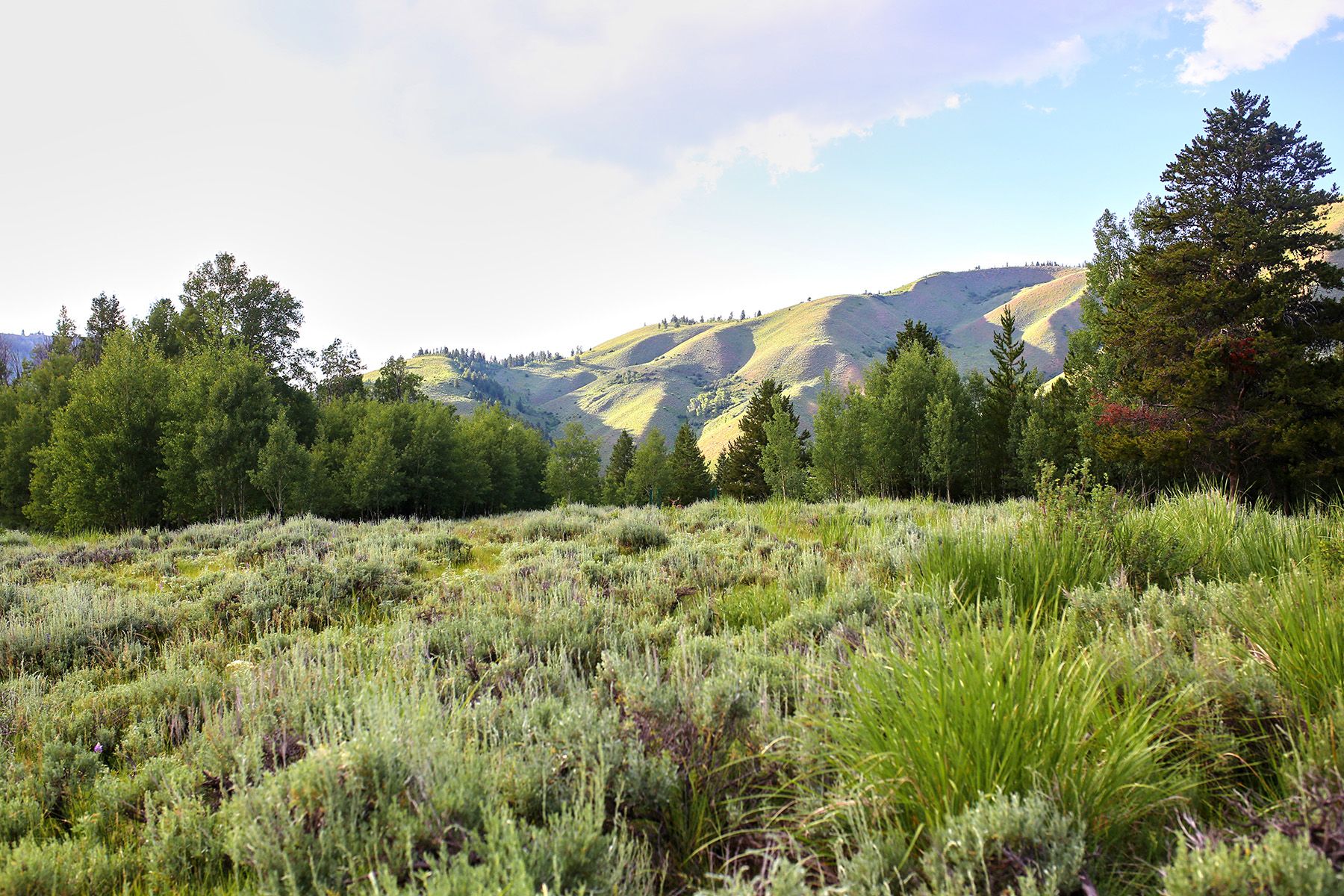  Snake River Sporting Club Lot - 物件實景