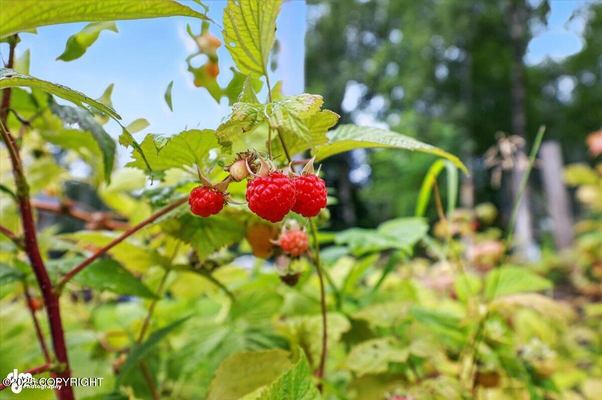 Wasilla, Alaska, 99654, United States, 5 Bedrooms Bedrooms, ,4 BathroomsBathrooms,Residential,For Sale,1974531