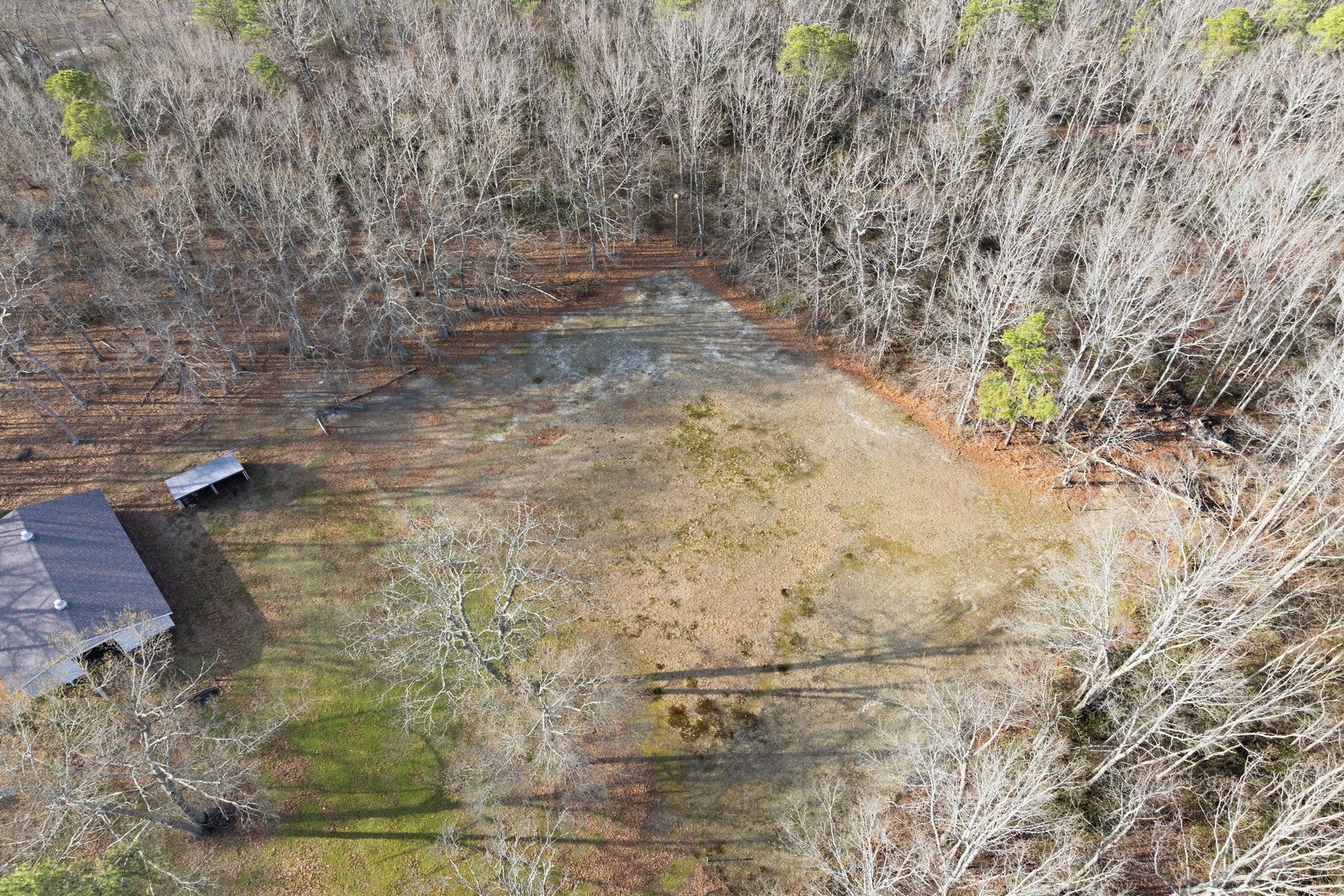  6311 Pine St - 物件實景