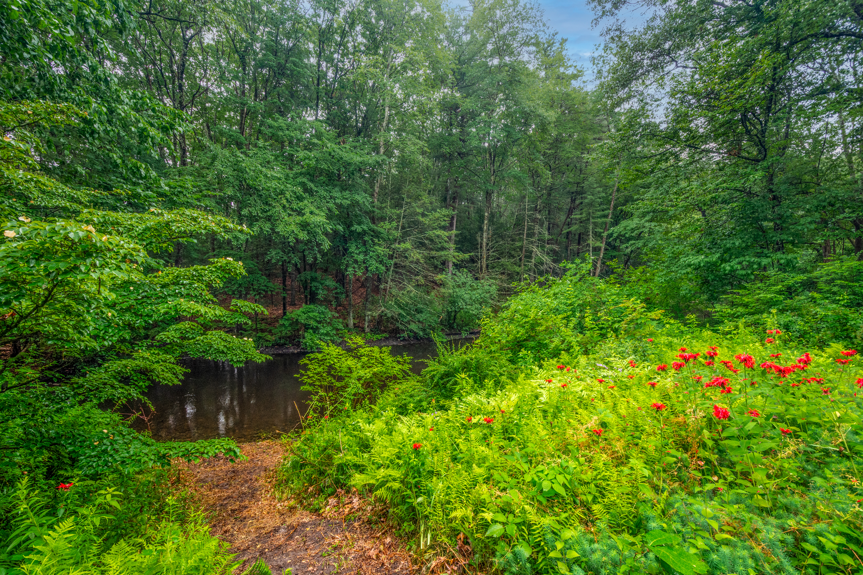  20 Stonehedge Road, Lincoln, MA 01773 - 物件實景