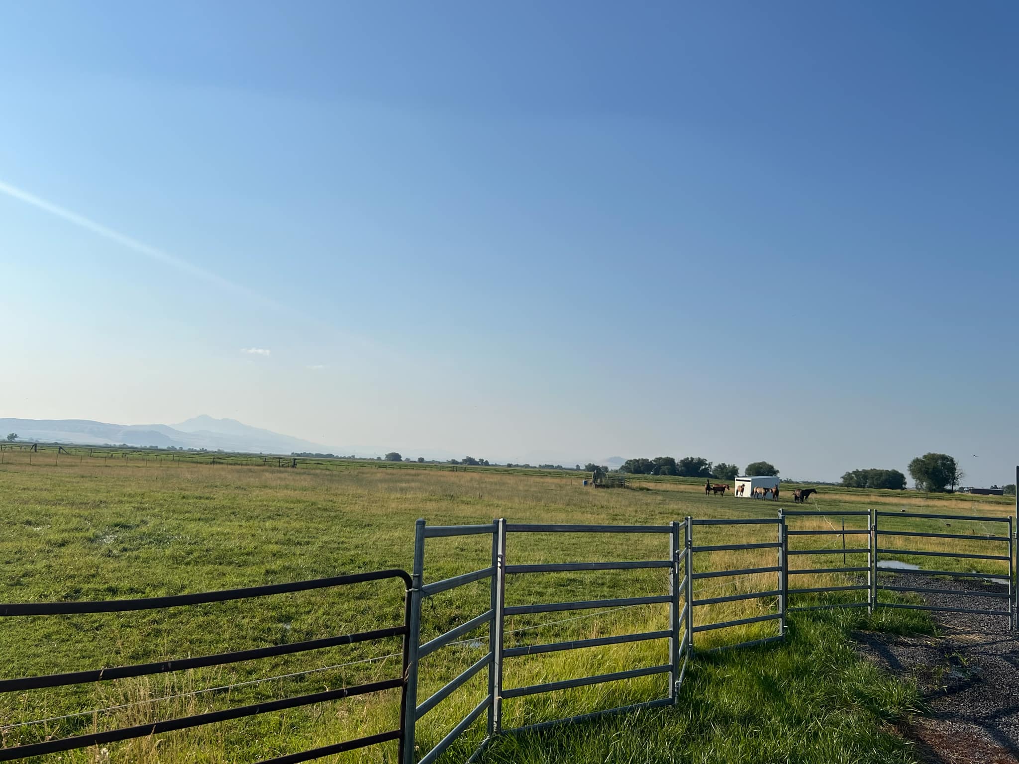 Logan, Utah, 84321, United States, ,Land,For Sale,1910822