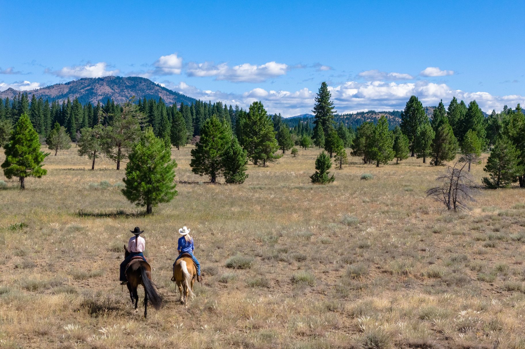  Landmark Ranch in California