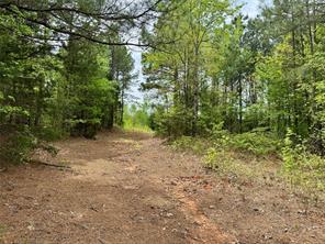 Naples, Texas, 75568, United States, ,Land,For Sale,1786234