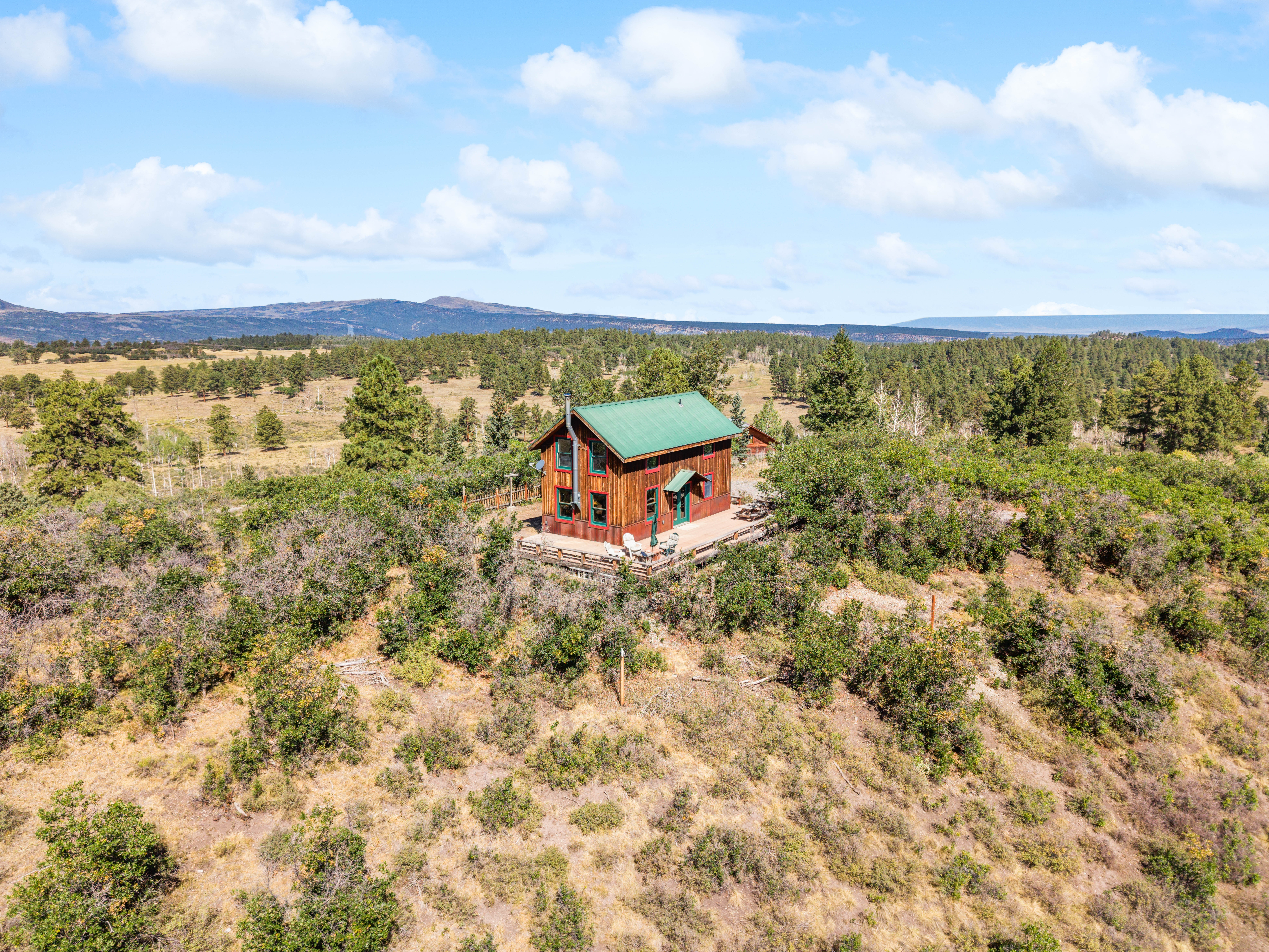  1100 Aspen Drive, Ridgway, CO, 81432 - 物件實景