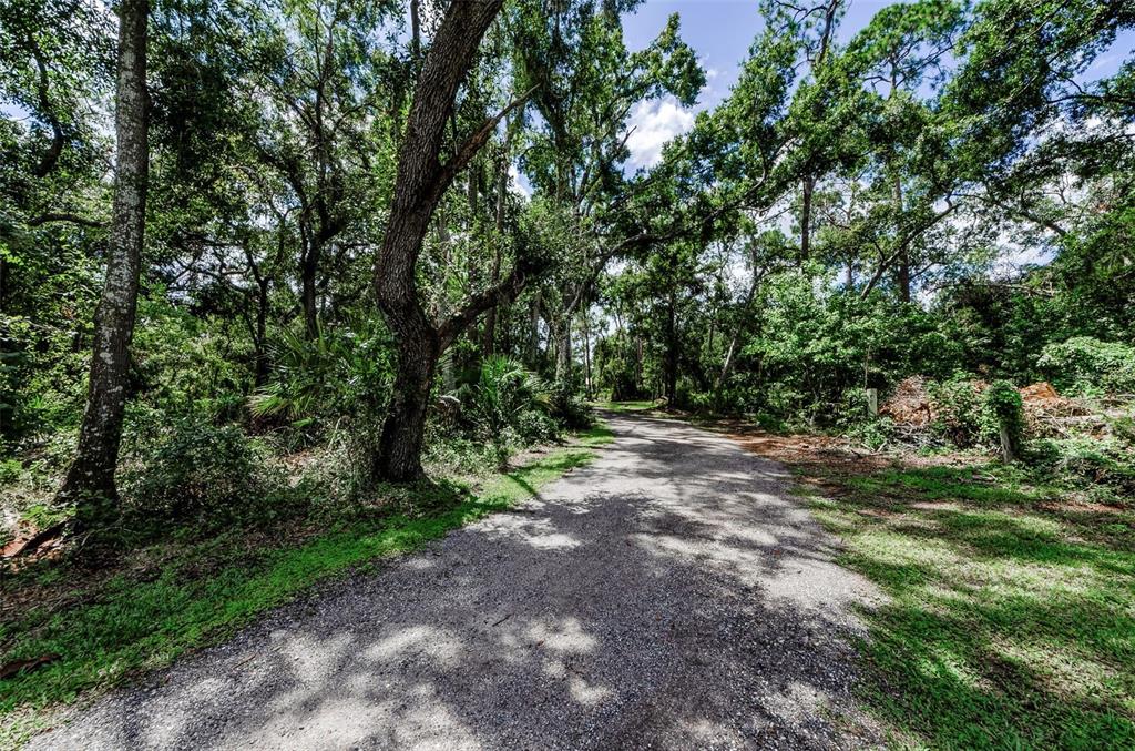 Plant City, Florida, 33566, United States, 3 Bedrooms Bedrooms, ,2 BathroomsBathrooms,Residential,For Sale,1932483