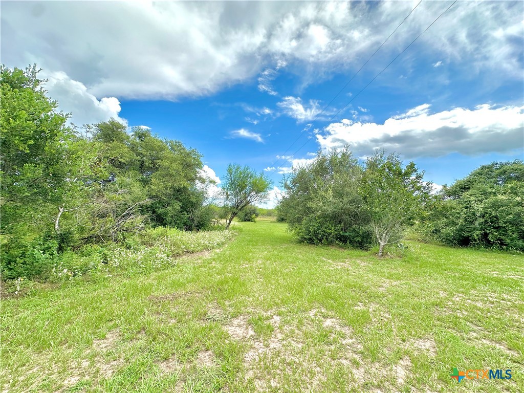 Nursery, Texas, 77976, United States, ,Land,For Sale,1885536