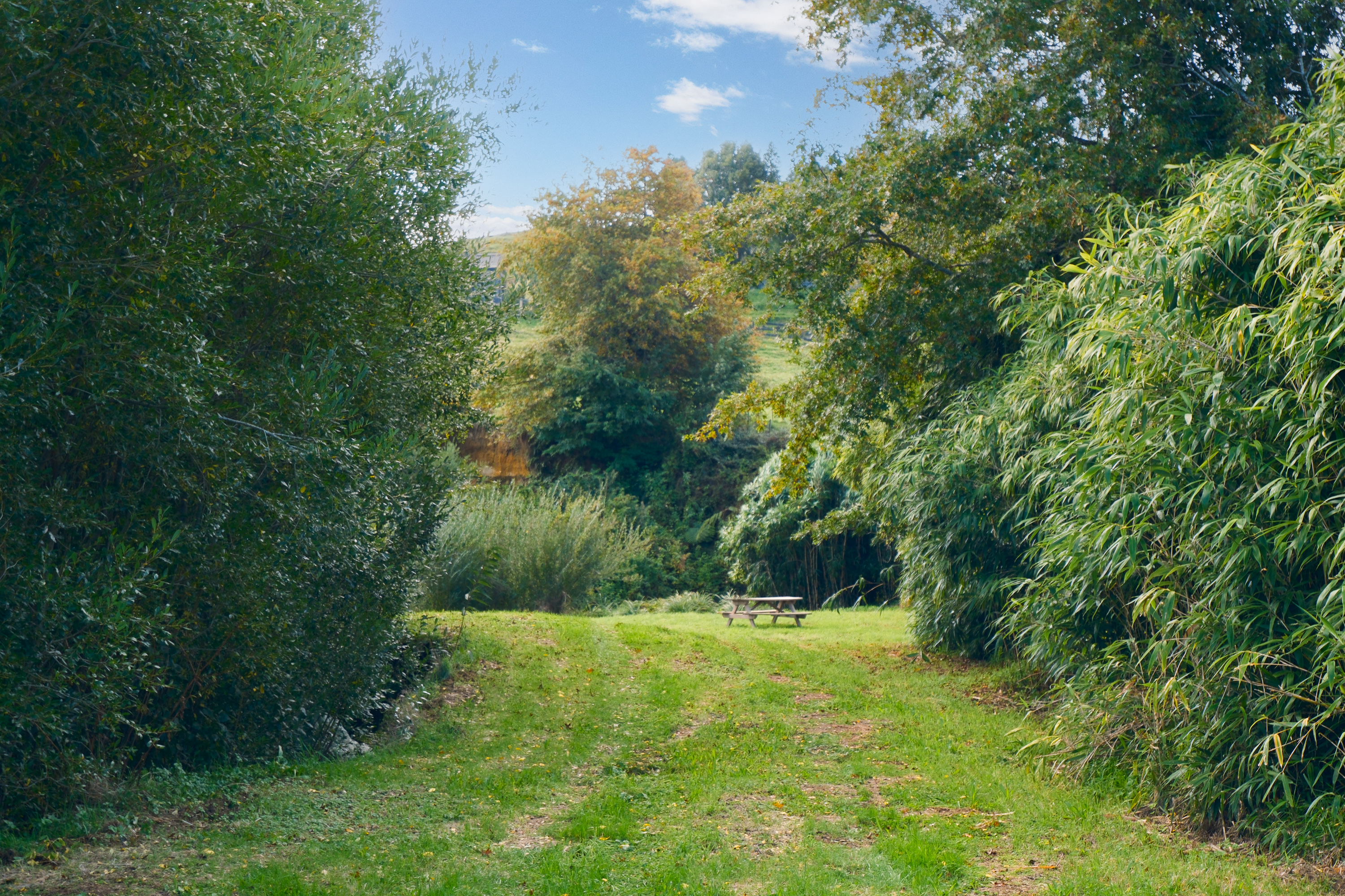  80 Hampson Place, Hamurana - 物件實景