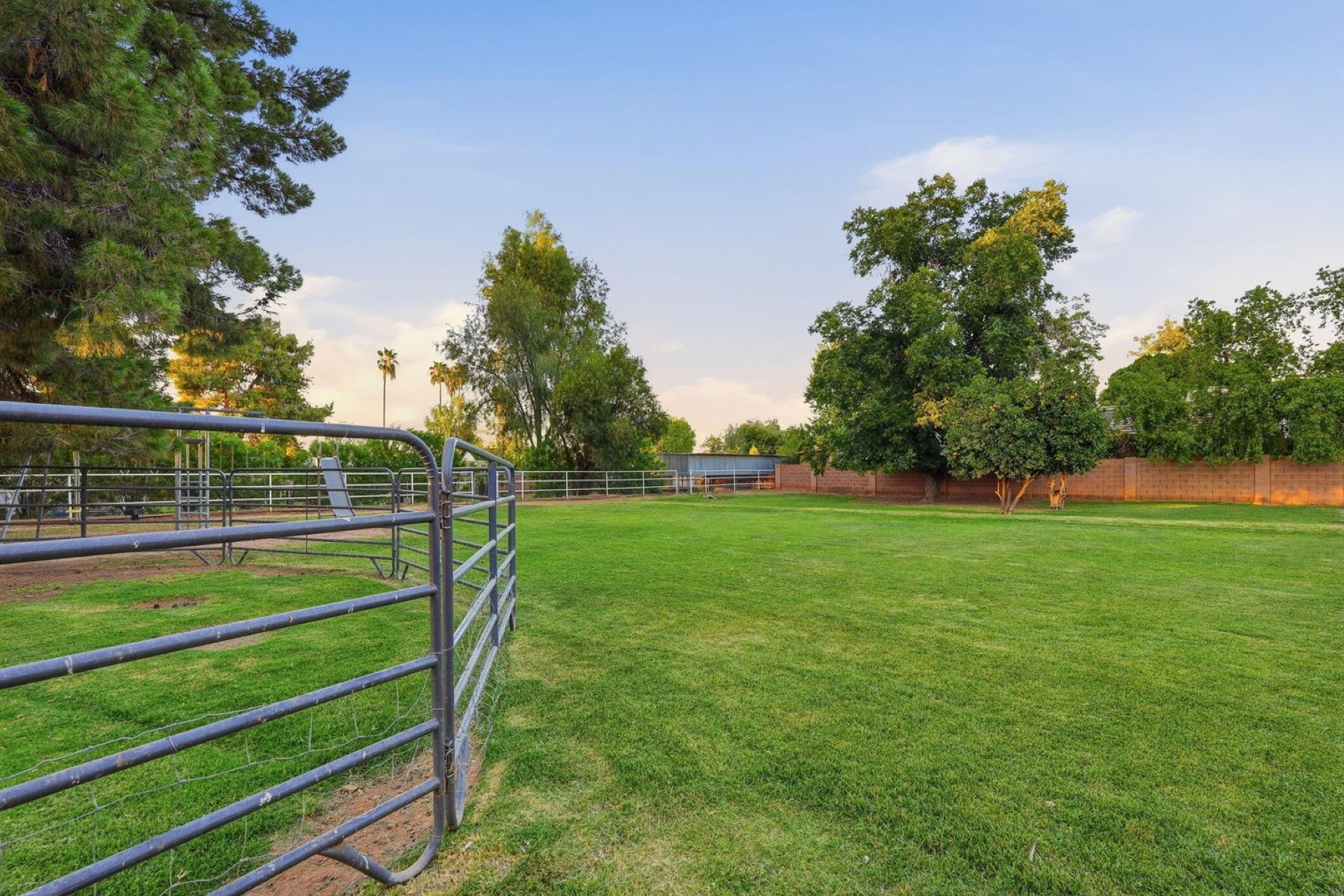  646 E Leah Lane¦Gilbert, AZ - 物件實景