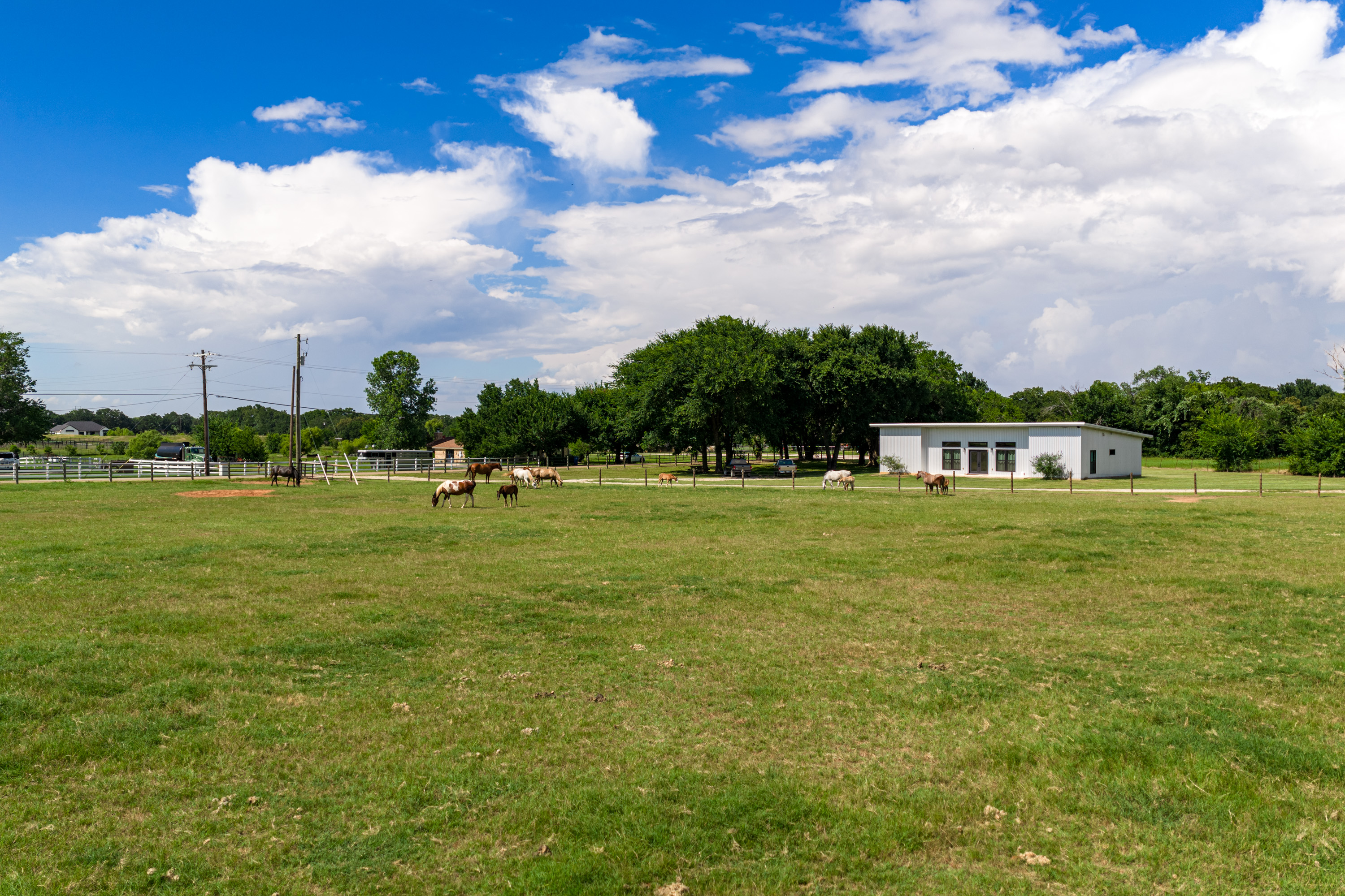  Walnut Creek Horse Farm - 物件實景