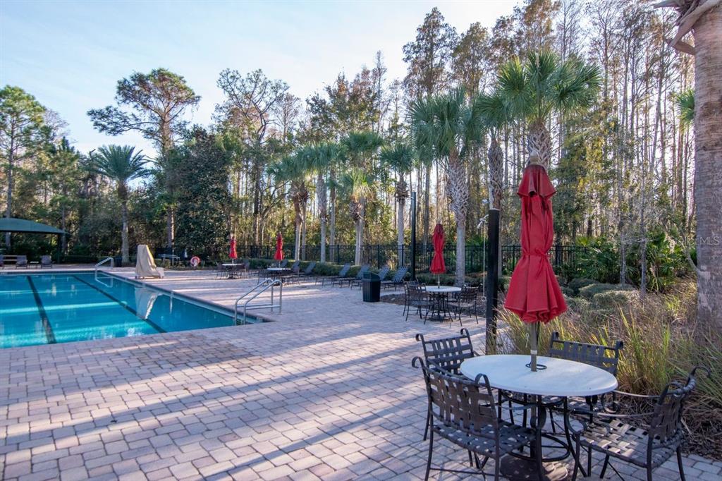 Land O Lakes, Florida, 34638, United States, 5 Bedrooms Bedrooms, ,4 BathroomsBathrooms,Residential,For Sale,2003047