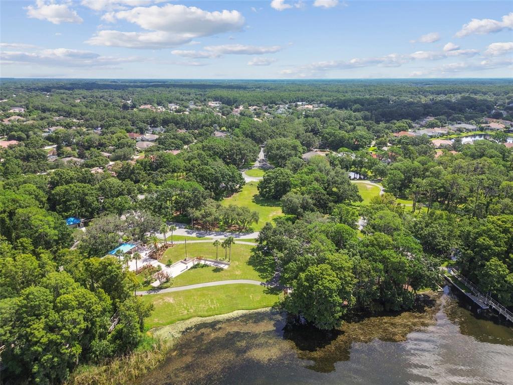 Palm Harbor, Florida, 34685, United States, 4 Bedrooms Bedrooms, ,4 BathroomsBathrooms,Residential,For Sale,1992596