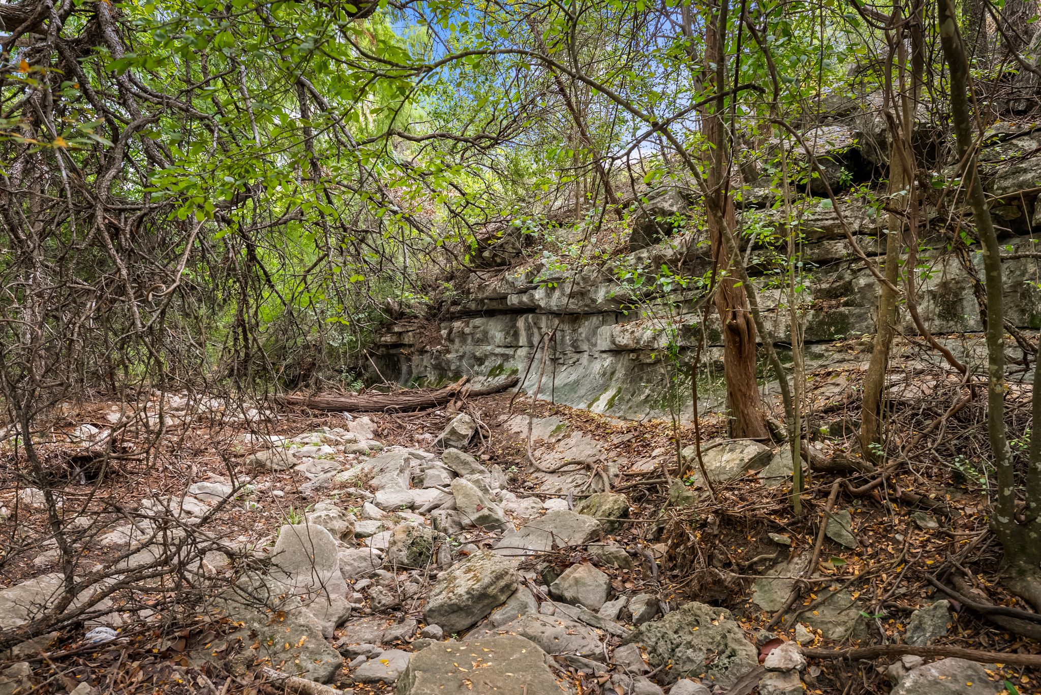  A Storybook Setting on Bull Creek - 物件實景