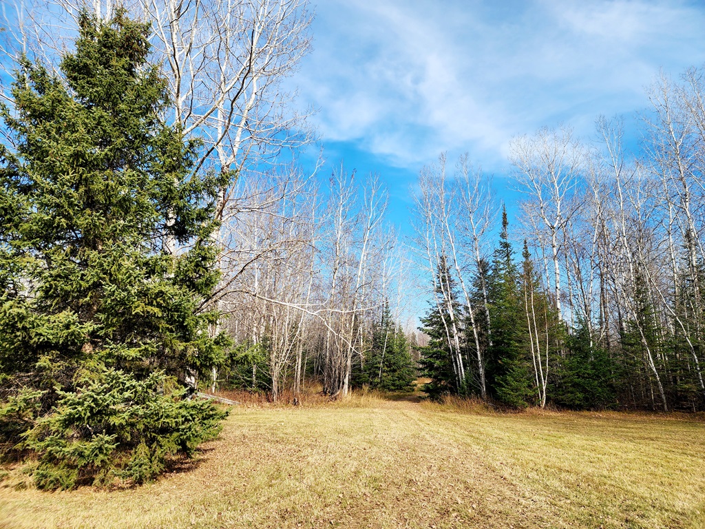 Grand Rapids, Minnesota, 55744, United States, ,Land,For Sale,1983791