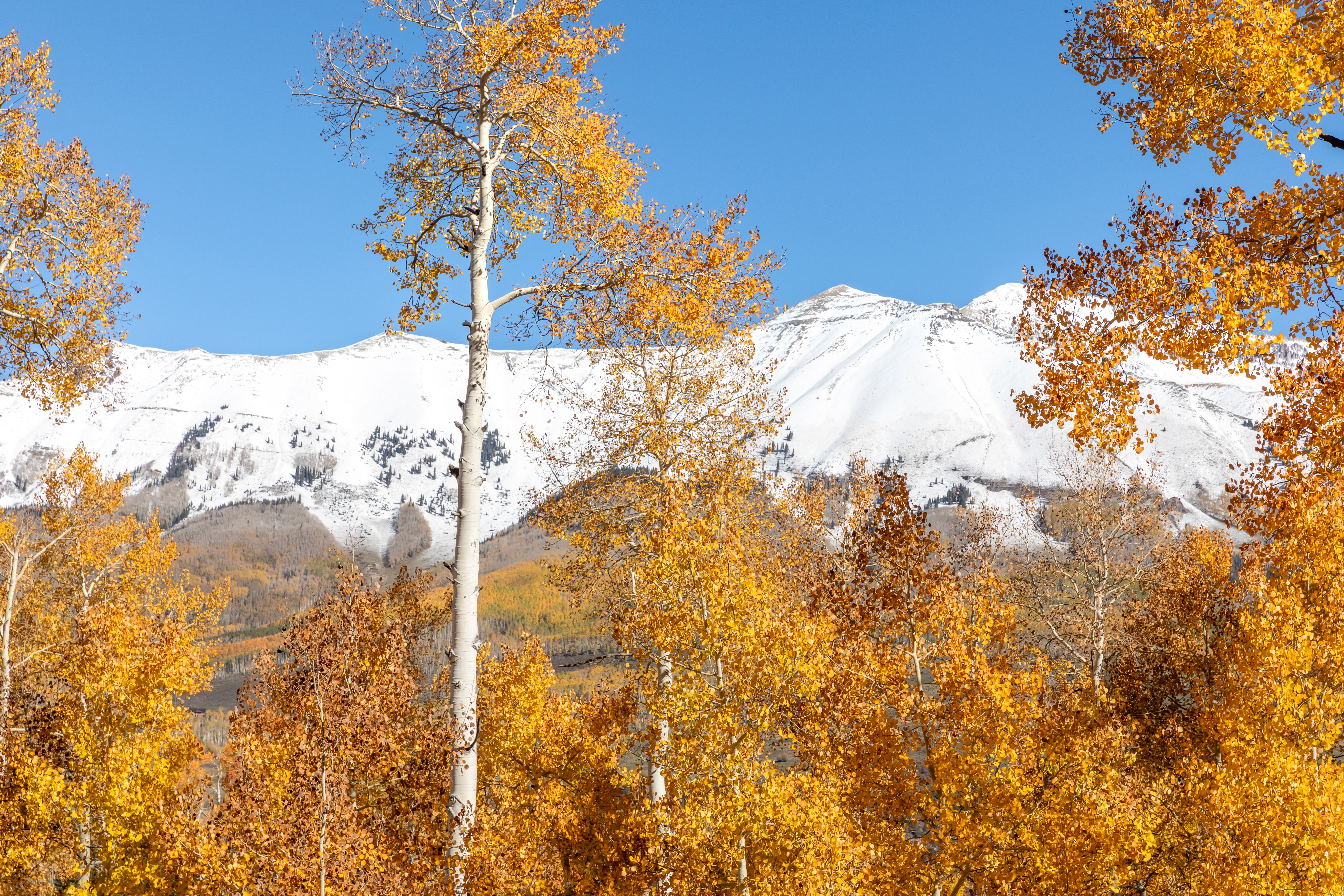 Set Among The Aspens On Just Over An Acre - 物件實景