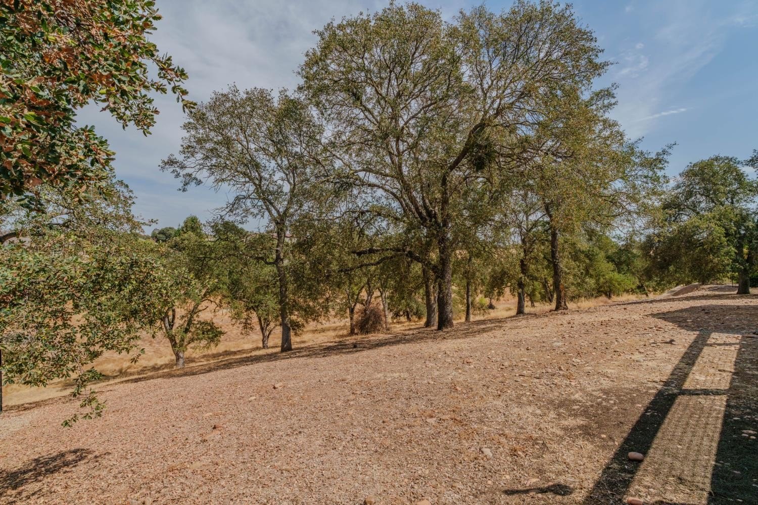 Wallace, California, 95254, United States, 4 Bedrooms Bedrooms, ,3 BathroomsBathrooms,Residential,For Sale,1976011