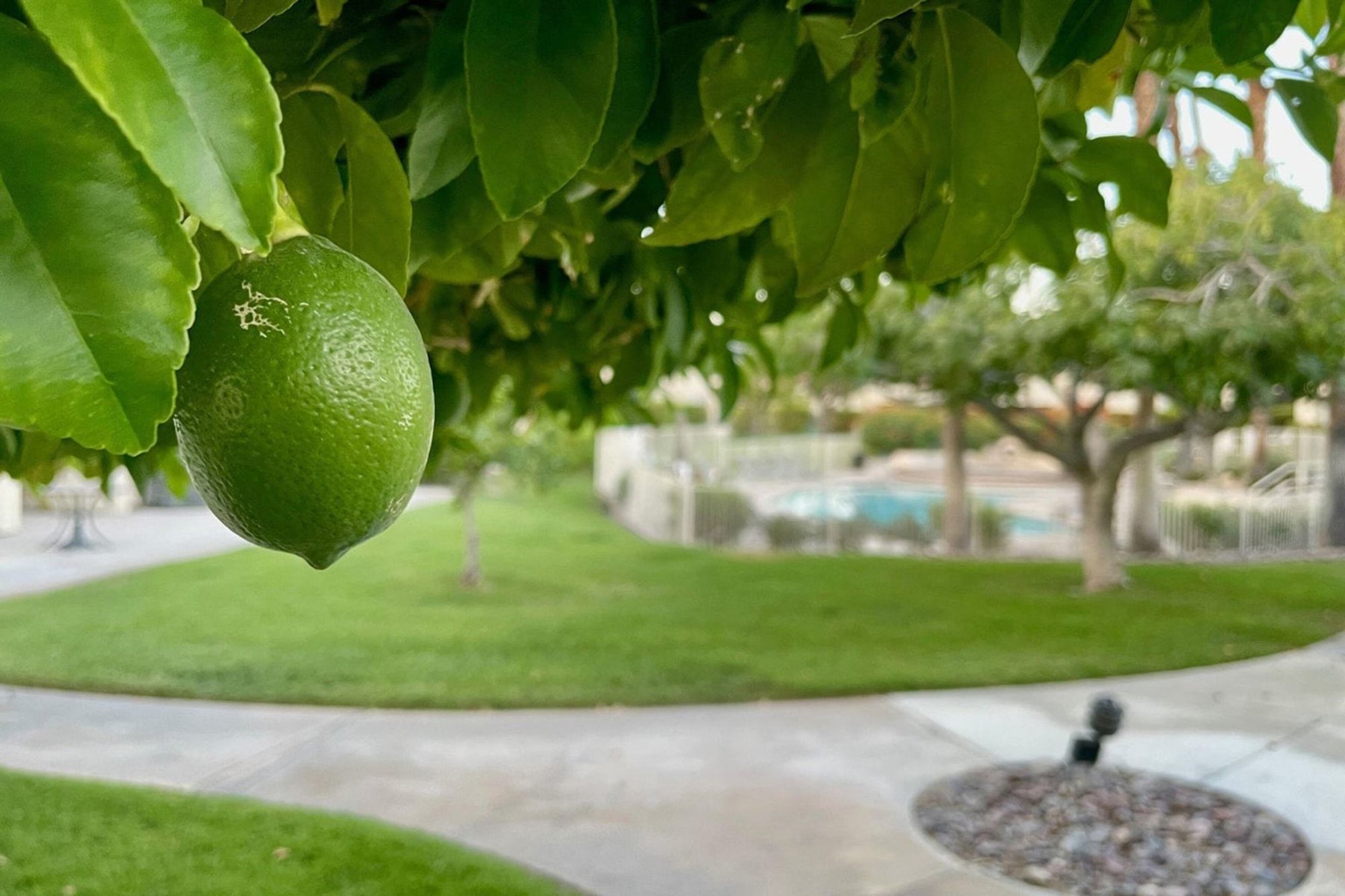  Sweeping Mountain Views in South Palm Springs - 物件實景