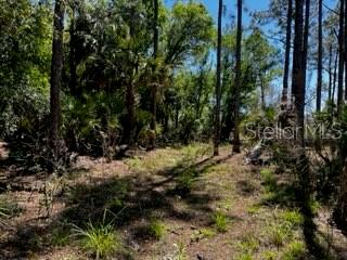 Punta Gorda, Florida, 33982, United States, ,Land,For Sale,1840783