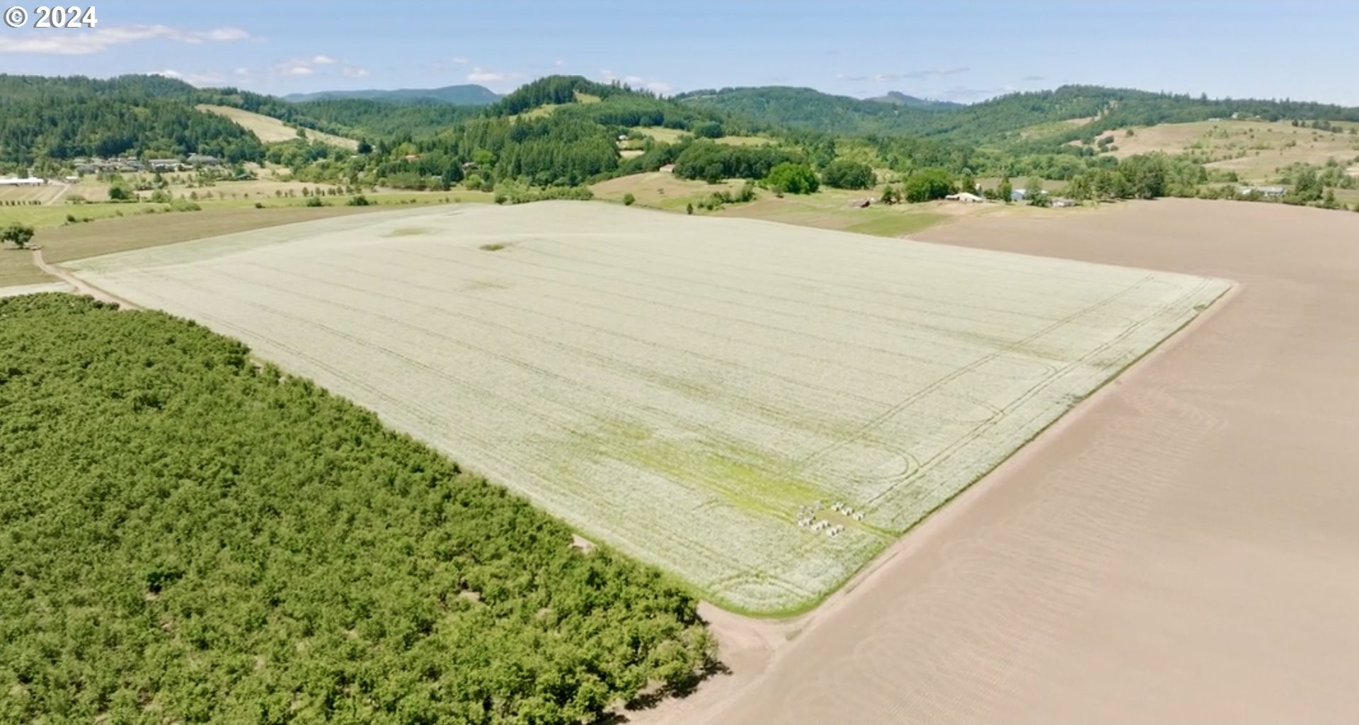 0 SW YOUNGBERG HILL RD, McMinnville, Oregon, 97128, United States, ,Land,For Sale,0 SW YOUNGBERG HILL RD,1523694