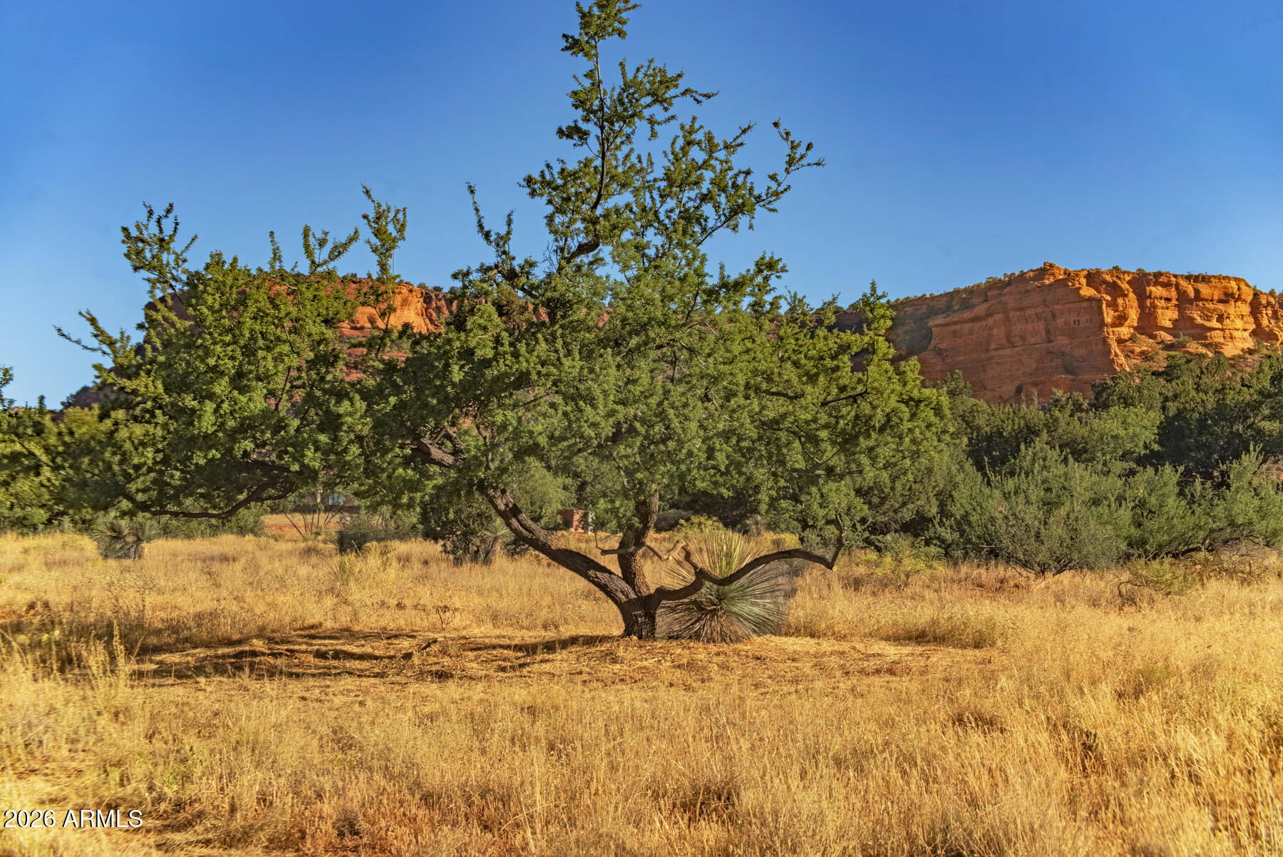  80 Altair Avenue, Sedona, AZ 86336 - 物件實景