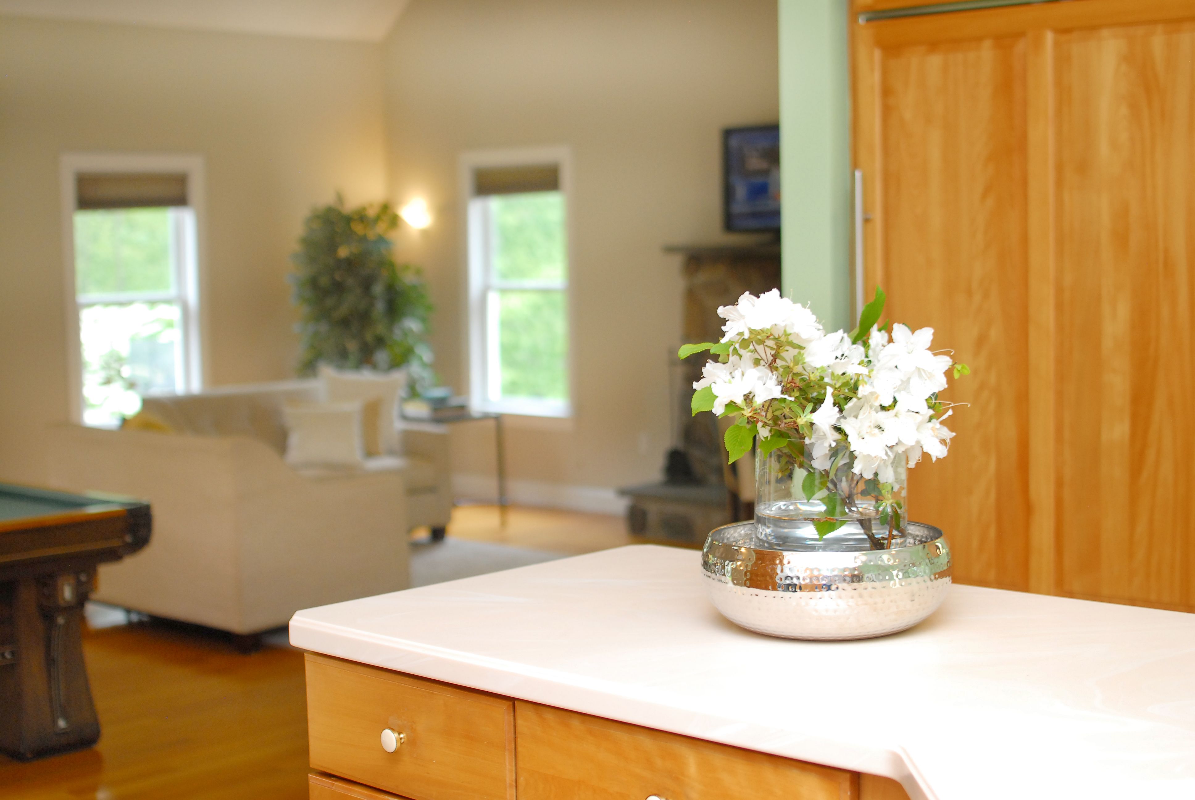  7 Proctor Street, Acton, MA 01720 - 物件實景