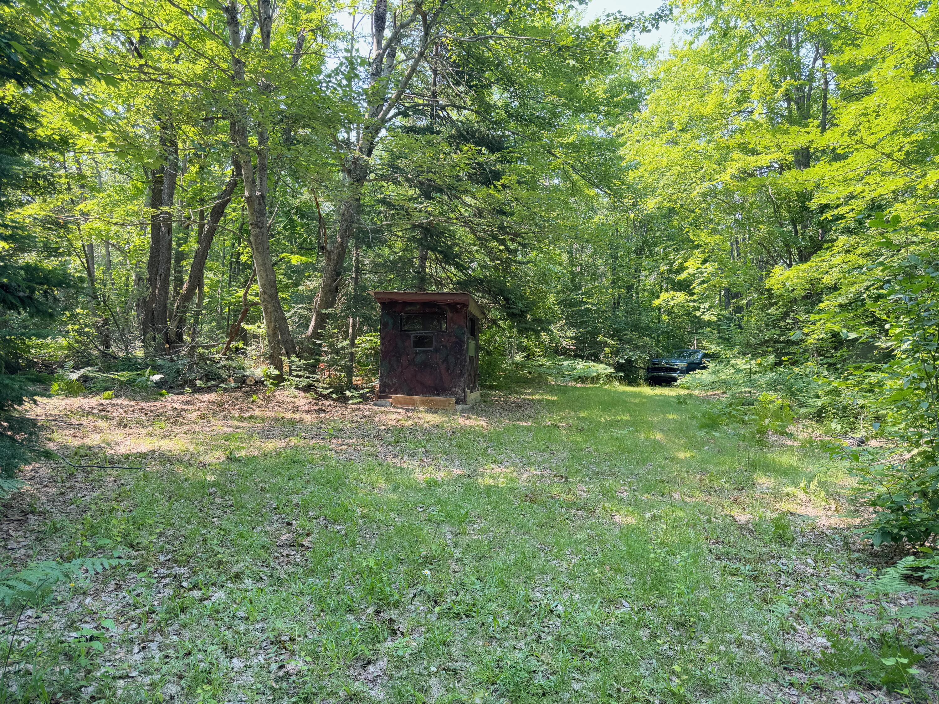 Wolverine, Michigan, 49799, United States, 2 Bedrooms Bedrooms, ,2 BathroomsBathrooms,Residential,For Sale,1885505