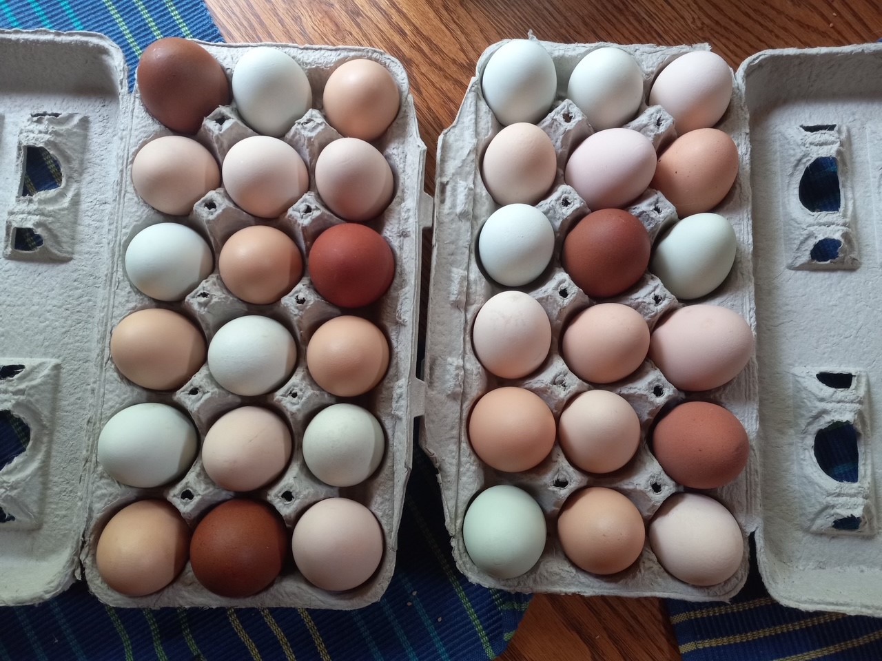 Sandpoint, Idaho, 83864, United States, 2 Bedrooms Bedrooms, ,2 BathroomsBathrooms,Residential,For Sale,2006058