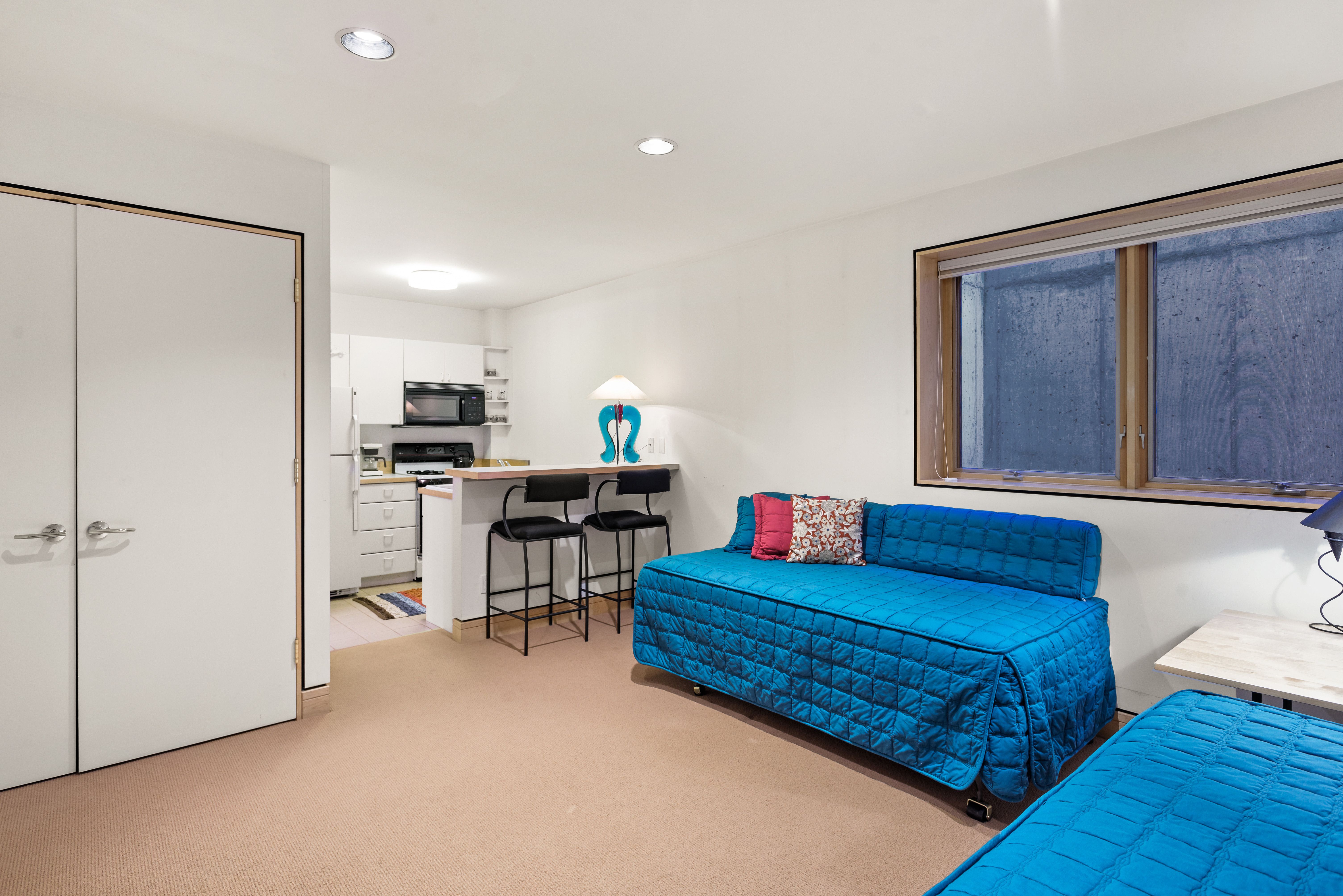  530 West Francis Street, Aspen, CO 81611 - 物件實景