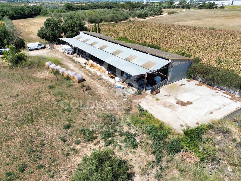 Girona, Siurana, Siurana Girona, Siurana, Siurana, Siurana, Catalonia, ES, 5 Bedrooms Bedrooms, ,3 BathroomsBathrooms,Residential,For Sale,Girona, Siurana, Siurana Girona, Siurana, Siurana ,1621457