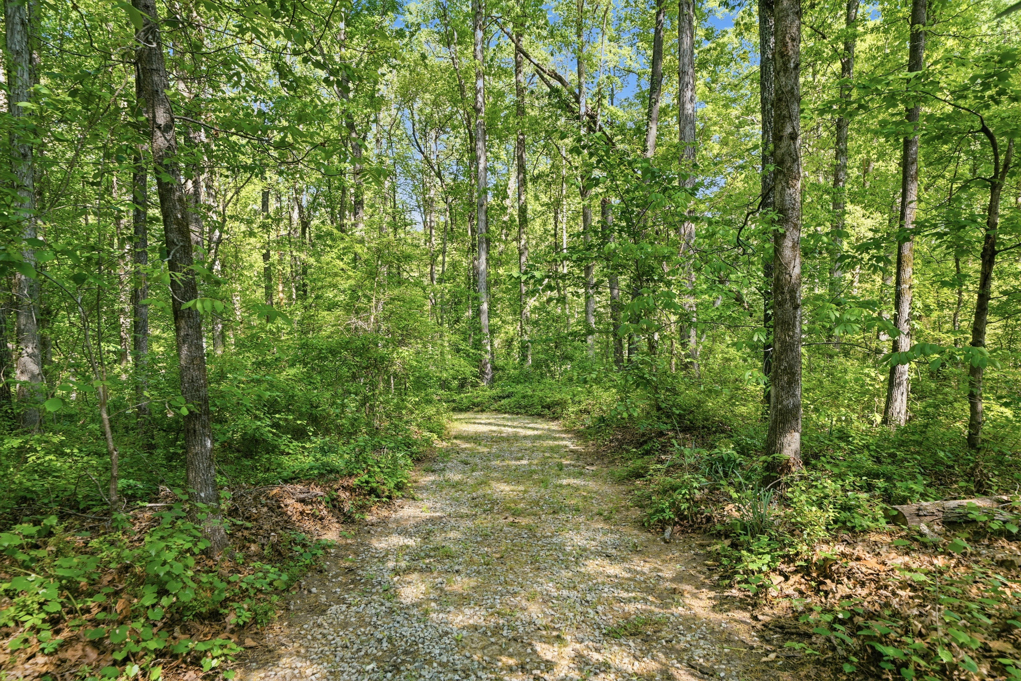  Brick Ranch Perfectly Positioned on 27 Acres with Pond - 物件實景