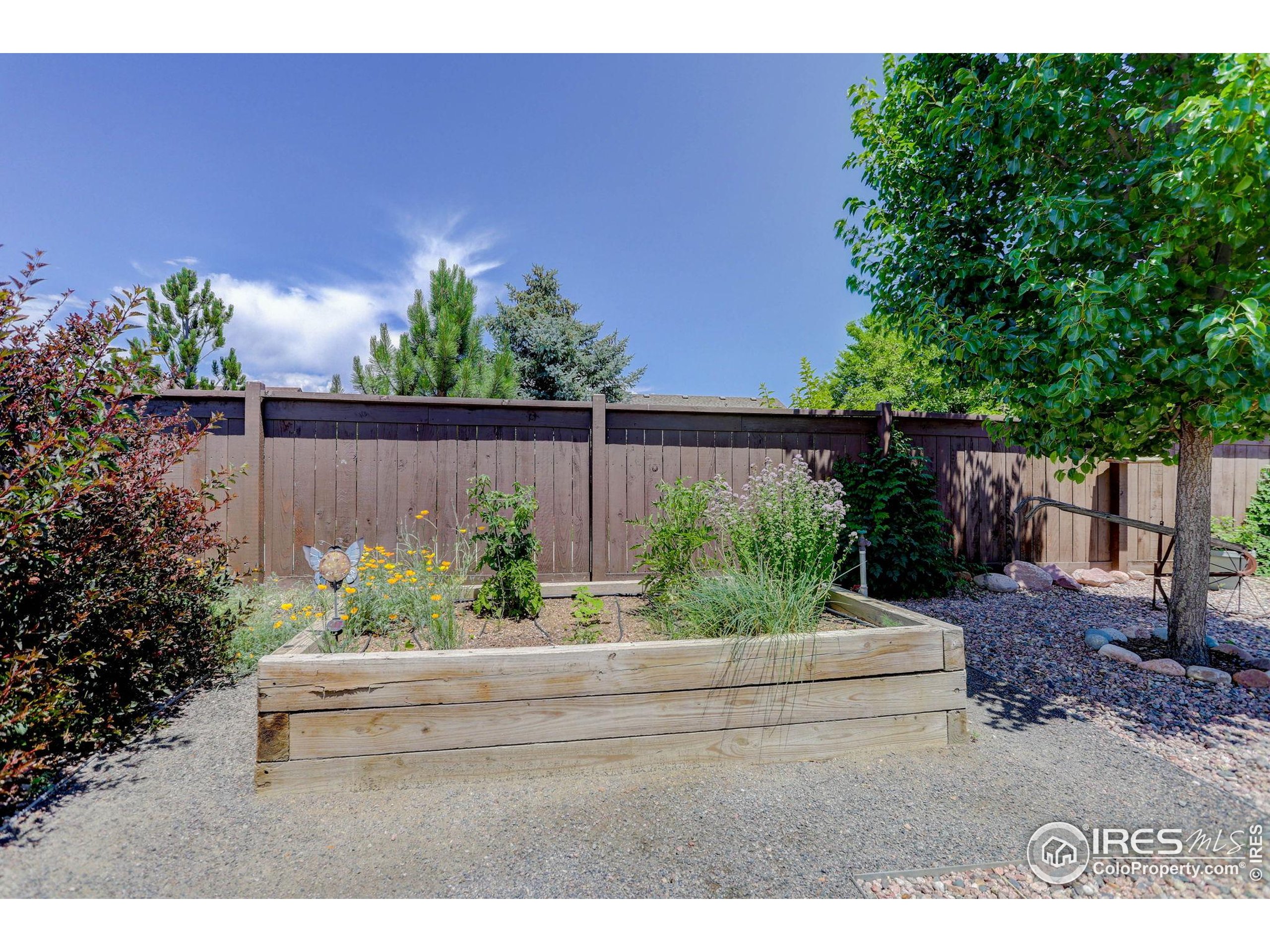 Windsor, Colorado, 80550, United States, 3 Bedrooms Bedrooms, ,1 BathroomBathrooms,Residential,For Sale,1932805