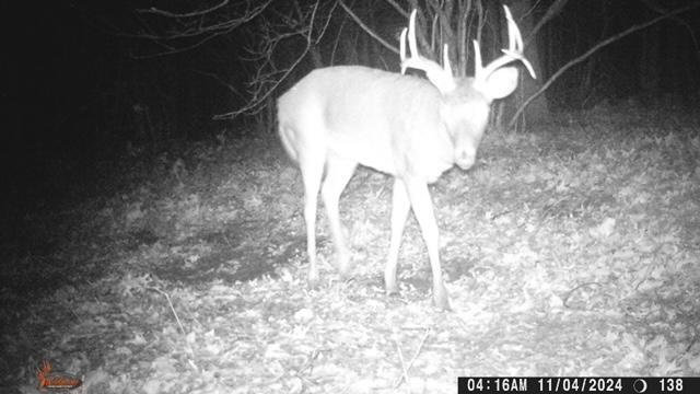 Big Rapids, Michigan, 49307, United States, 3 Bedrooms Bedrooms, ,2 BathroomsBathrooms,Residential,For Sale,1951282