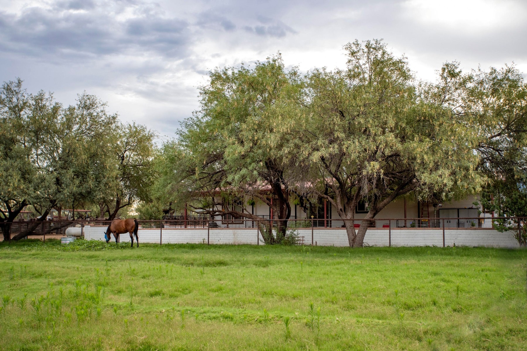  3155 W Elephant Head Road¦Amado, AZ - 物件實景