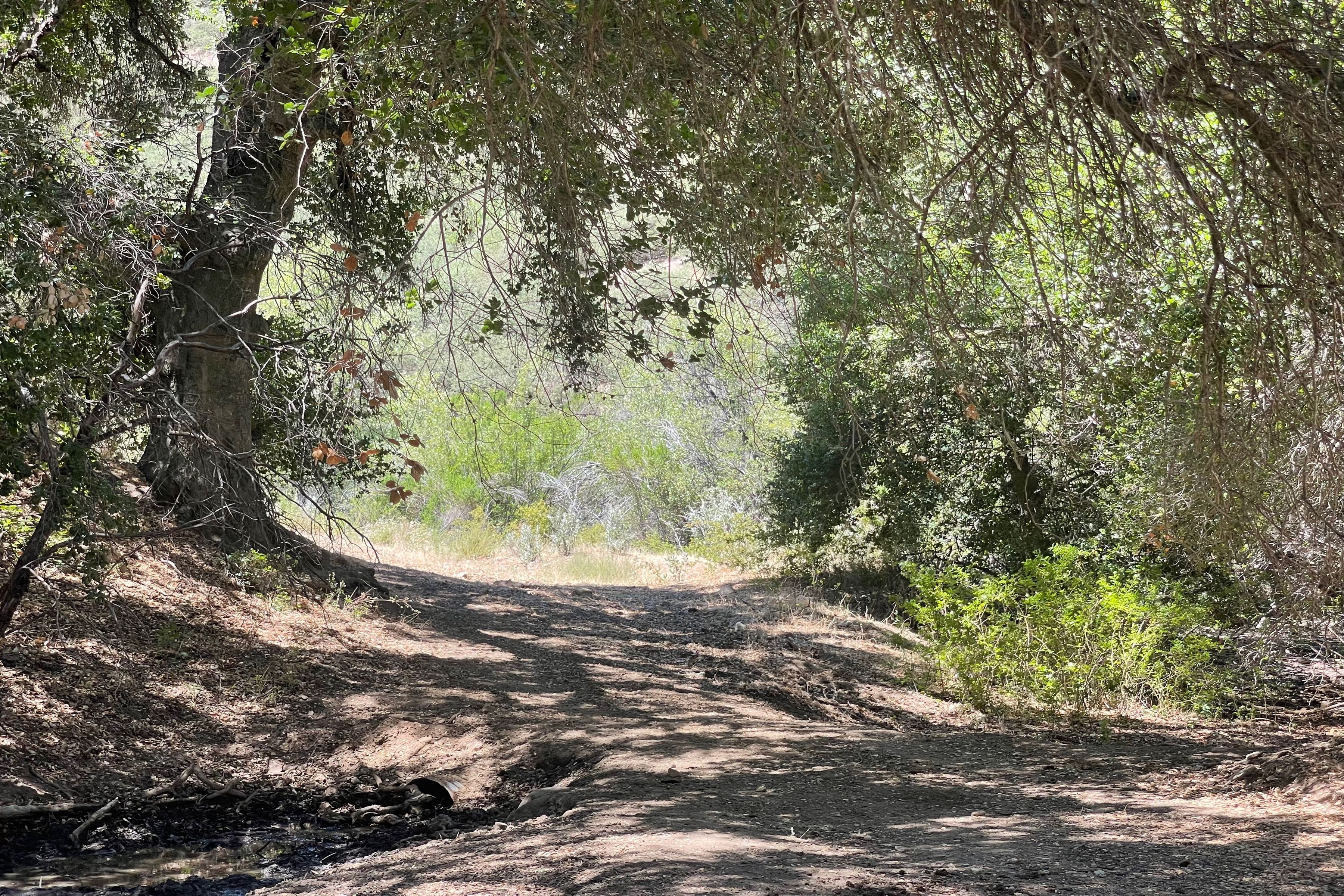  0 East Carmel Valley Road - 物件實景