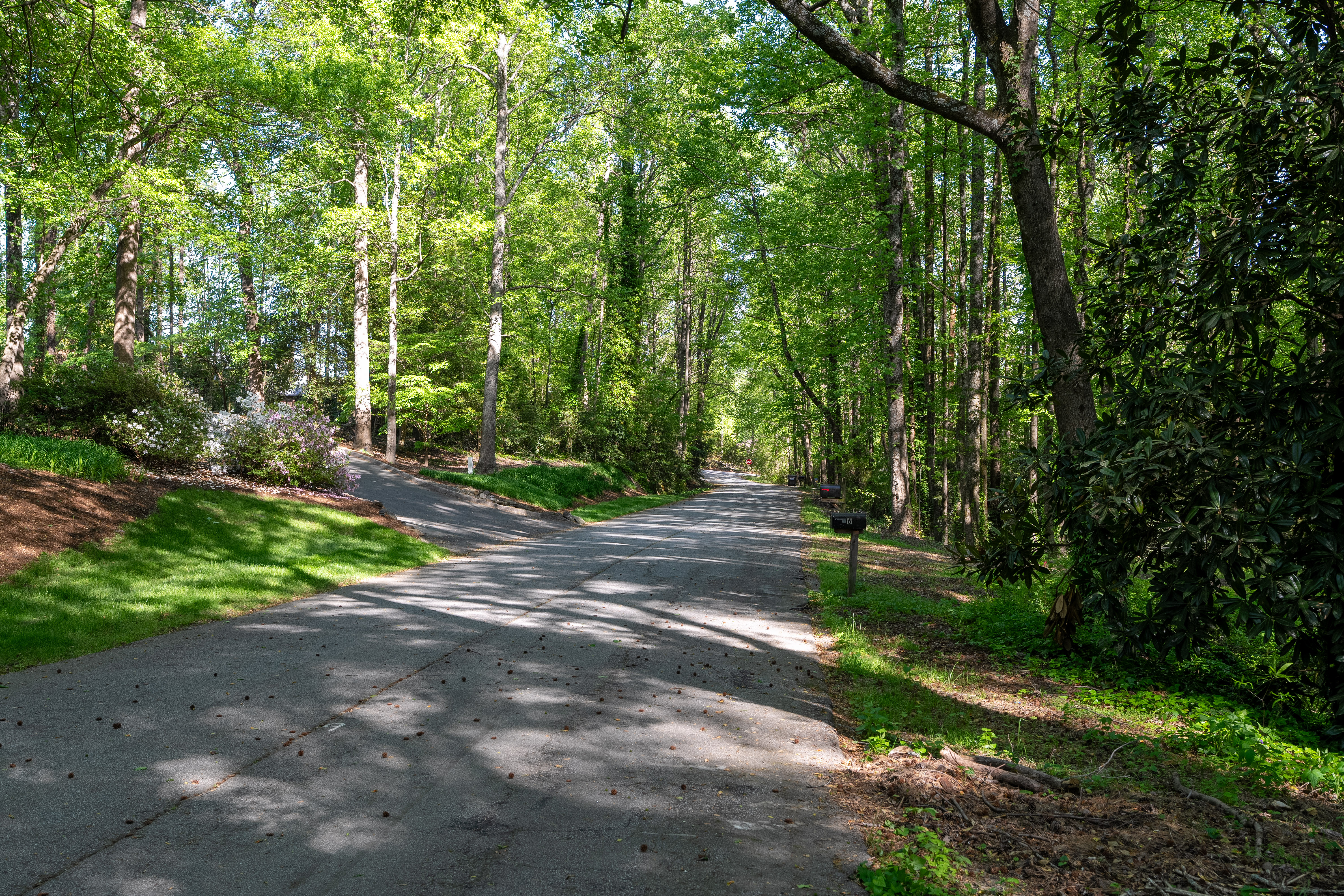  6 Stratton Place, Greenville, SC 29615 - 物件實景