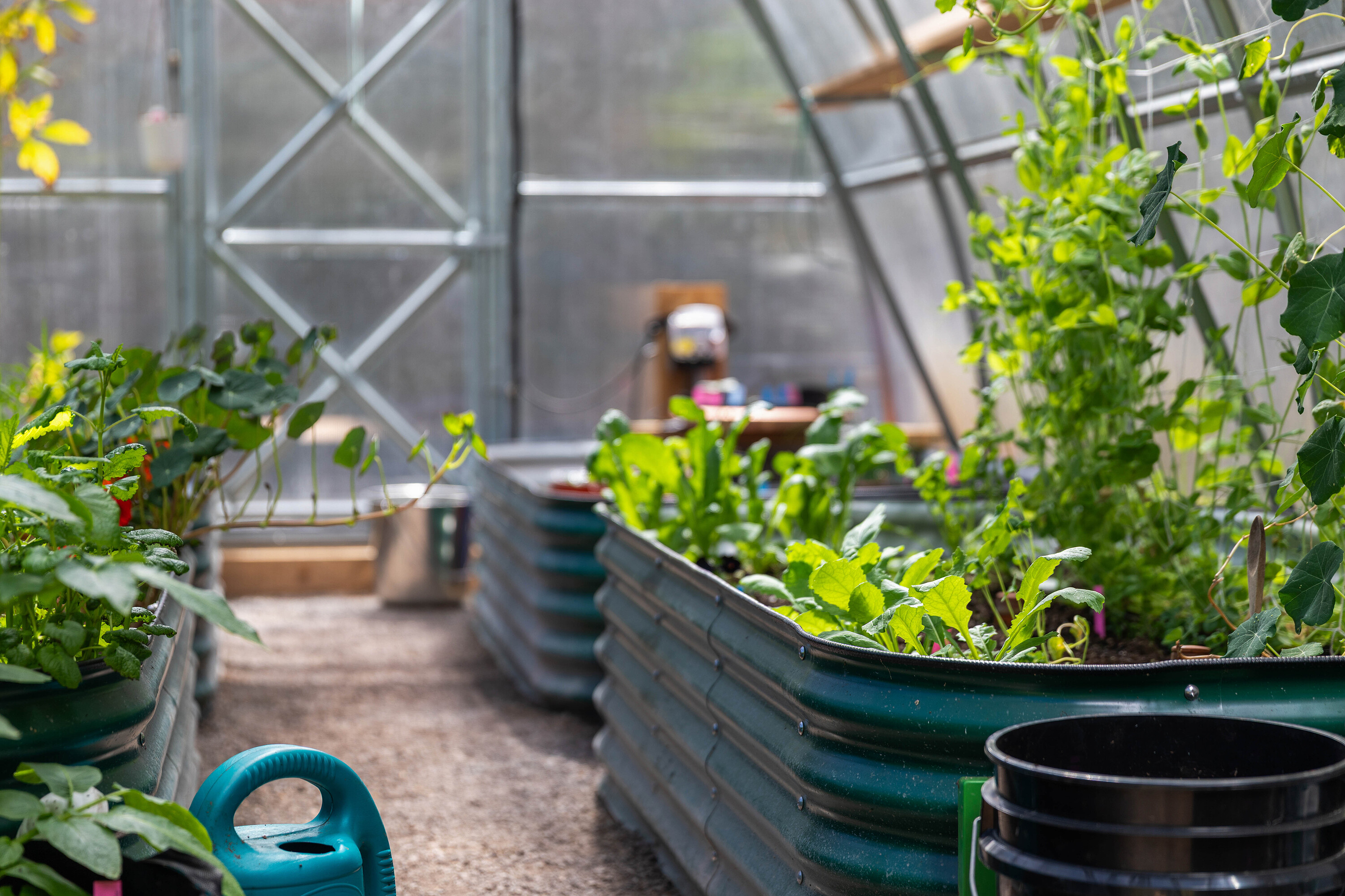  West Coast Cedar Log Home - 物件實景