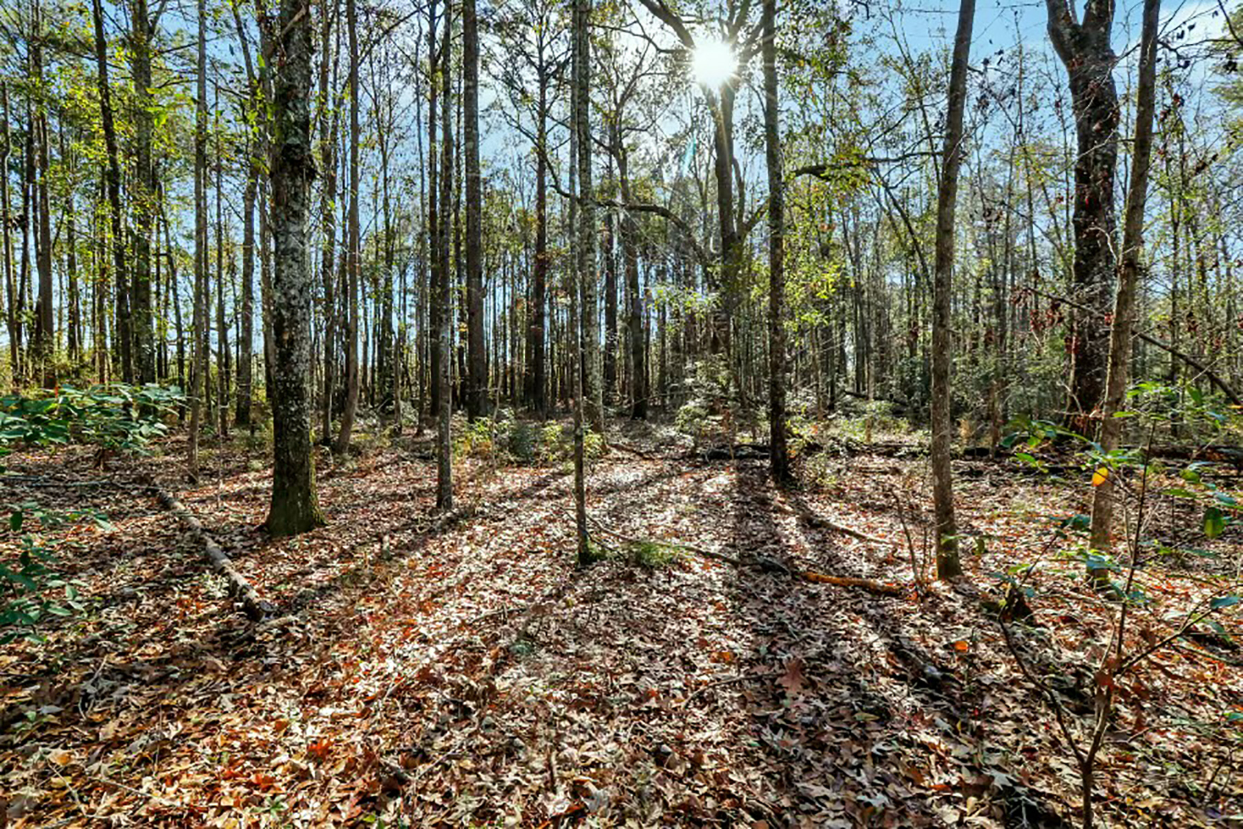 N Okatie Highway, Okatie, SC 29909 - 物件實景