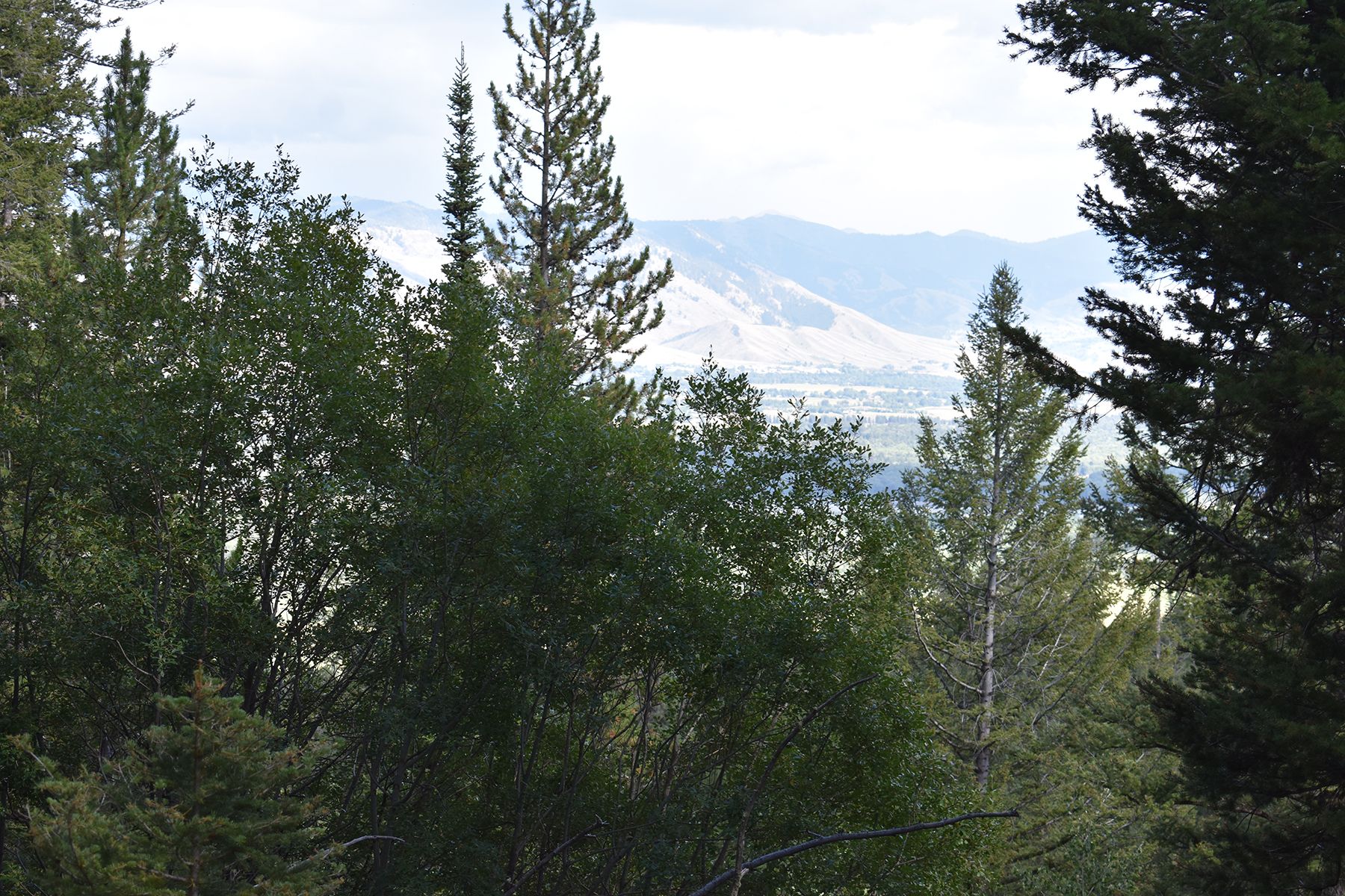  Wilson Acreage Bordering Bridger-Teton National Forest - 物件實景