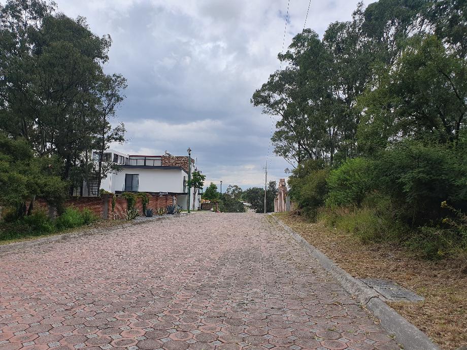 Gran Zar, Amozoc, Puebla, 72989, Mexico, 1 Bedroom Bedrooms, ,Residential,For Sale,Gran Zar,1640564