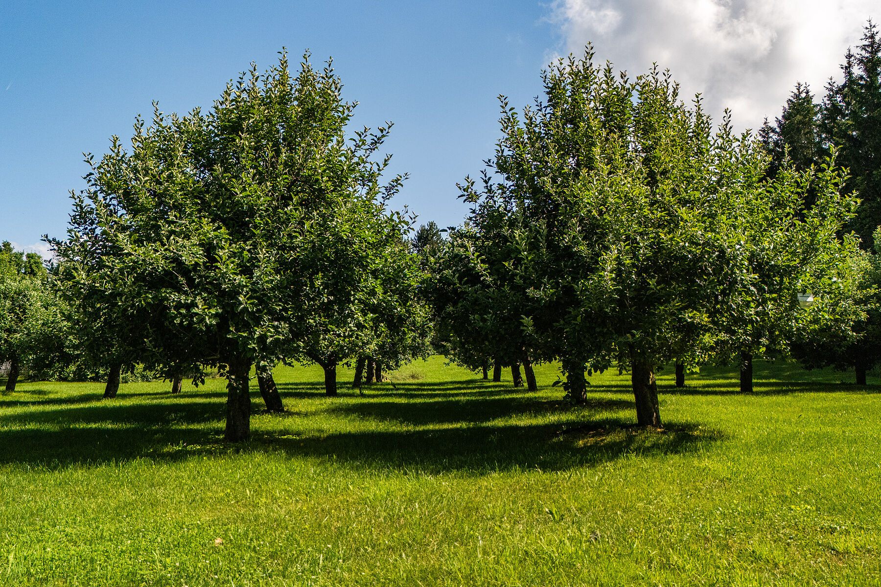  Perrett Farm - 物件實景