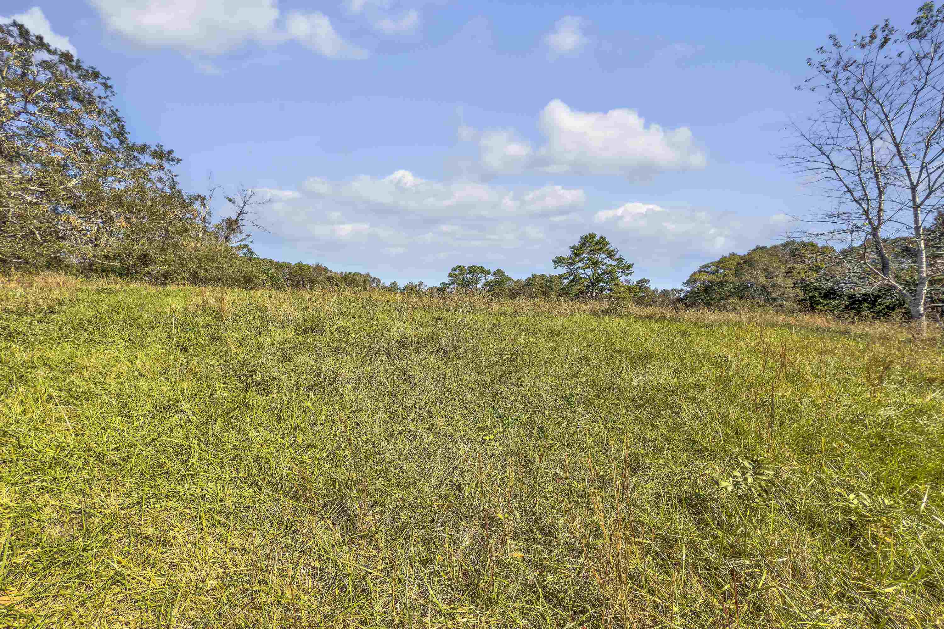 Old Converse Road, Spartanburg, South Carolina, 29301, United States, ,Land,For Sale,Old Converse Road,1646994