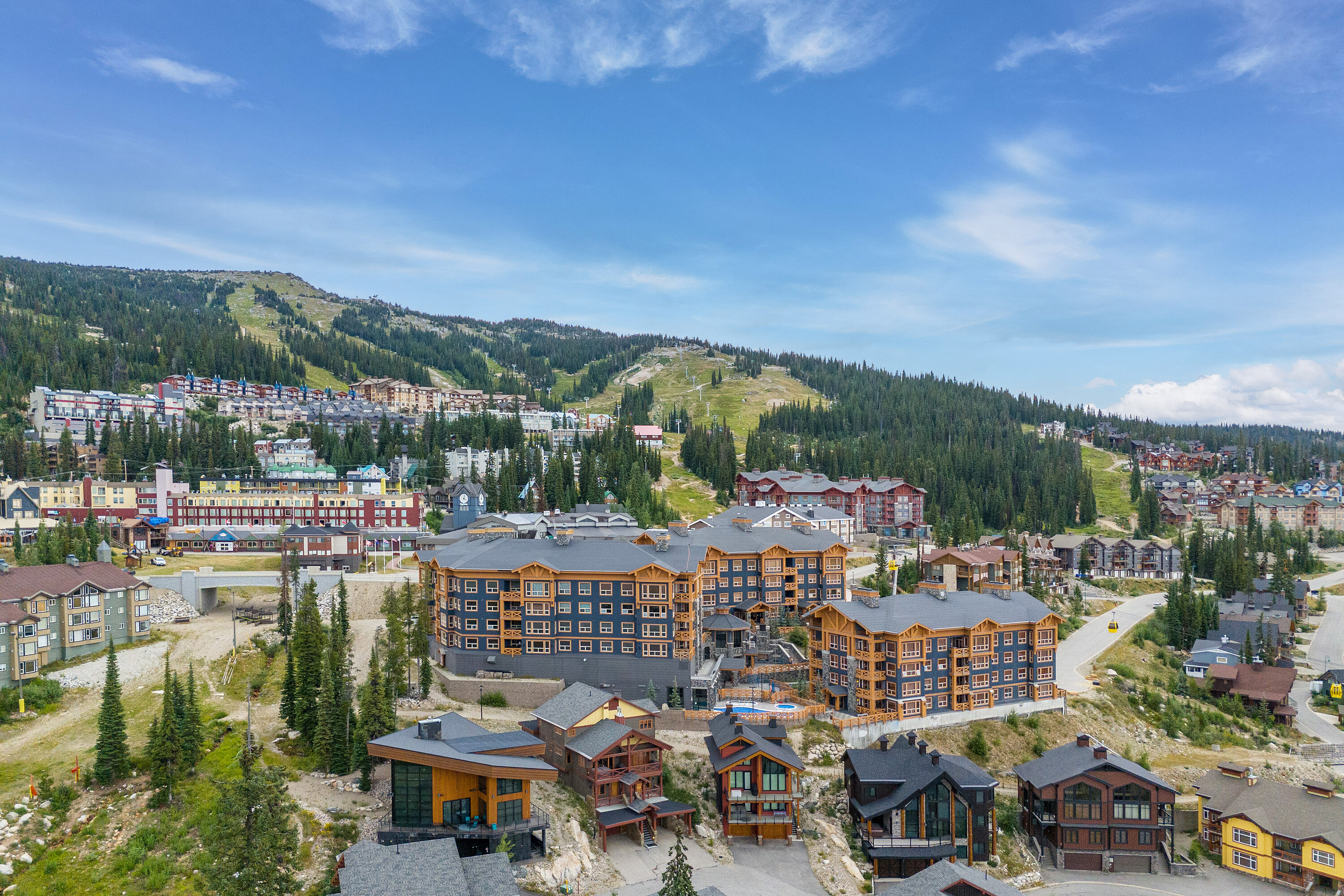  Ski In, Ski Out at Stonegate - 物件實景