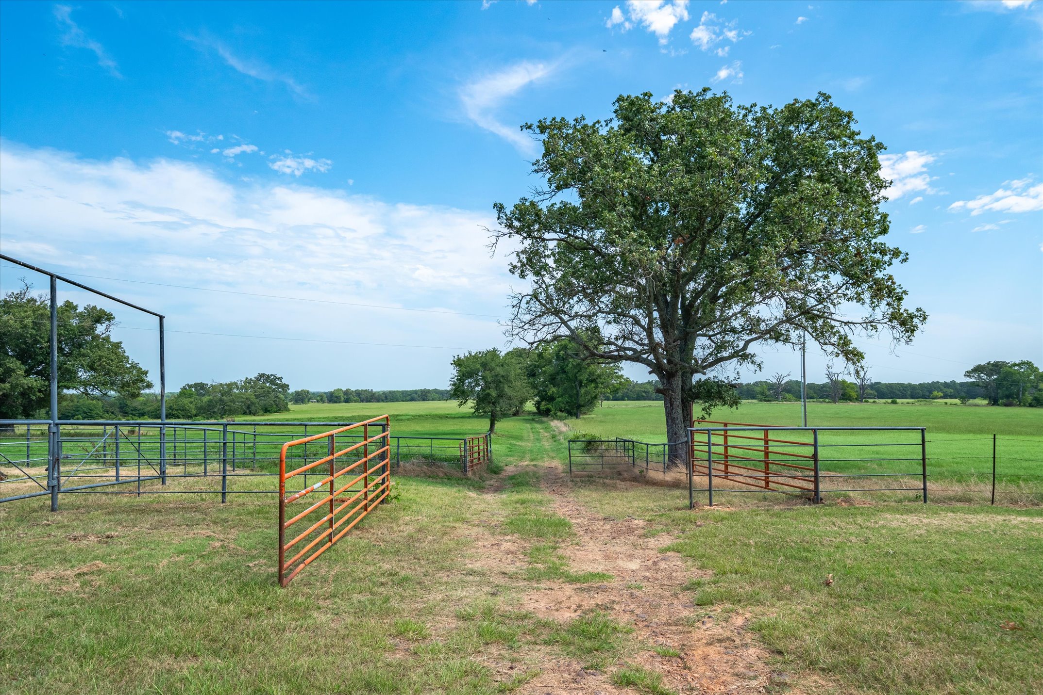 9208 FM 17, Grand Saline, Texas, 75140, United States, 5 Bedrooms Bedrooms, ,6 BathroomsBathrooms,Residential,For Sale,9208 FM 17,1317594